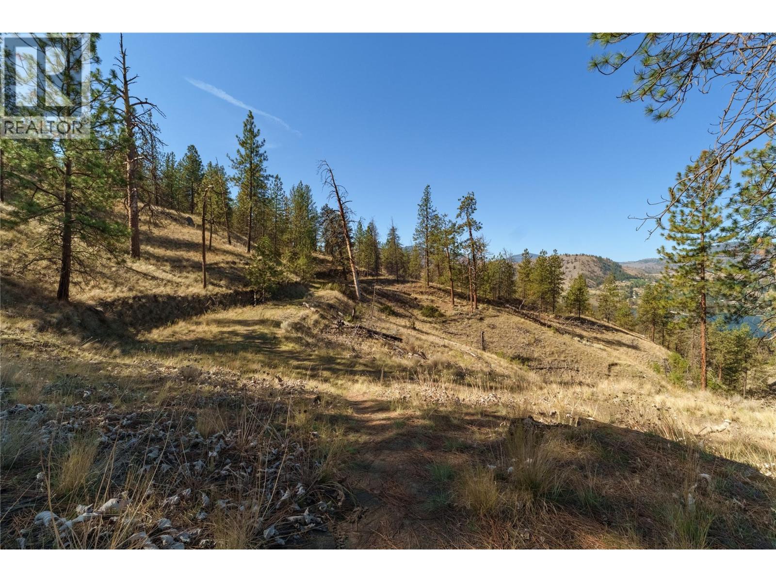 Prpsd Lt 1 47 Street, Okanagan Falls, British Columbia  V0H 1R5 - Photo 26 - 10401523