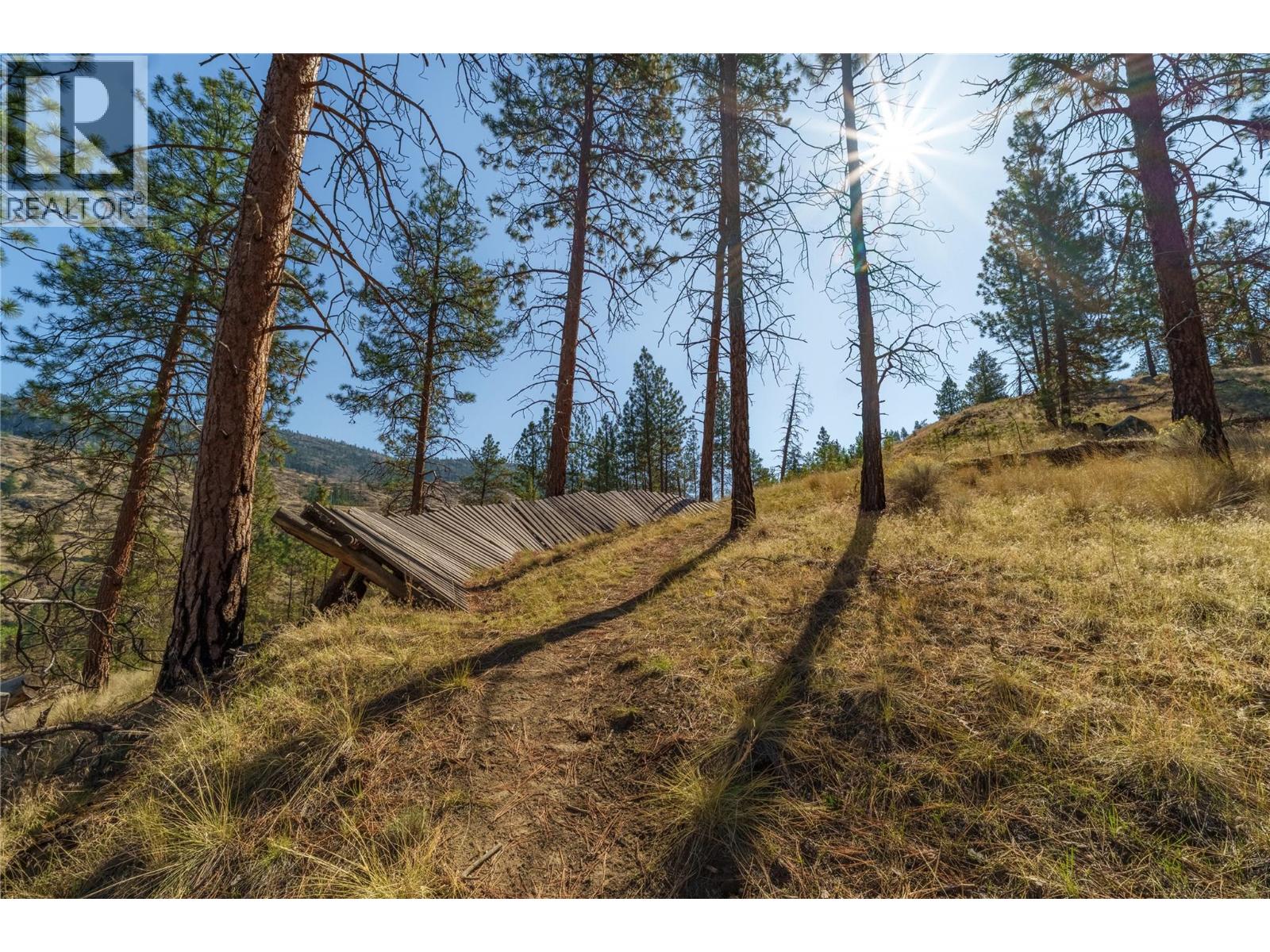 Prpsd Lt 1 47 Street, Okanagan Falls, British Columbia  V0H 1R5 - Photo 27 - 10401523