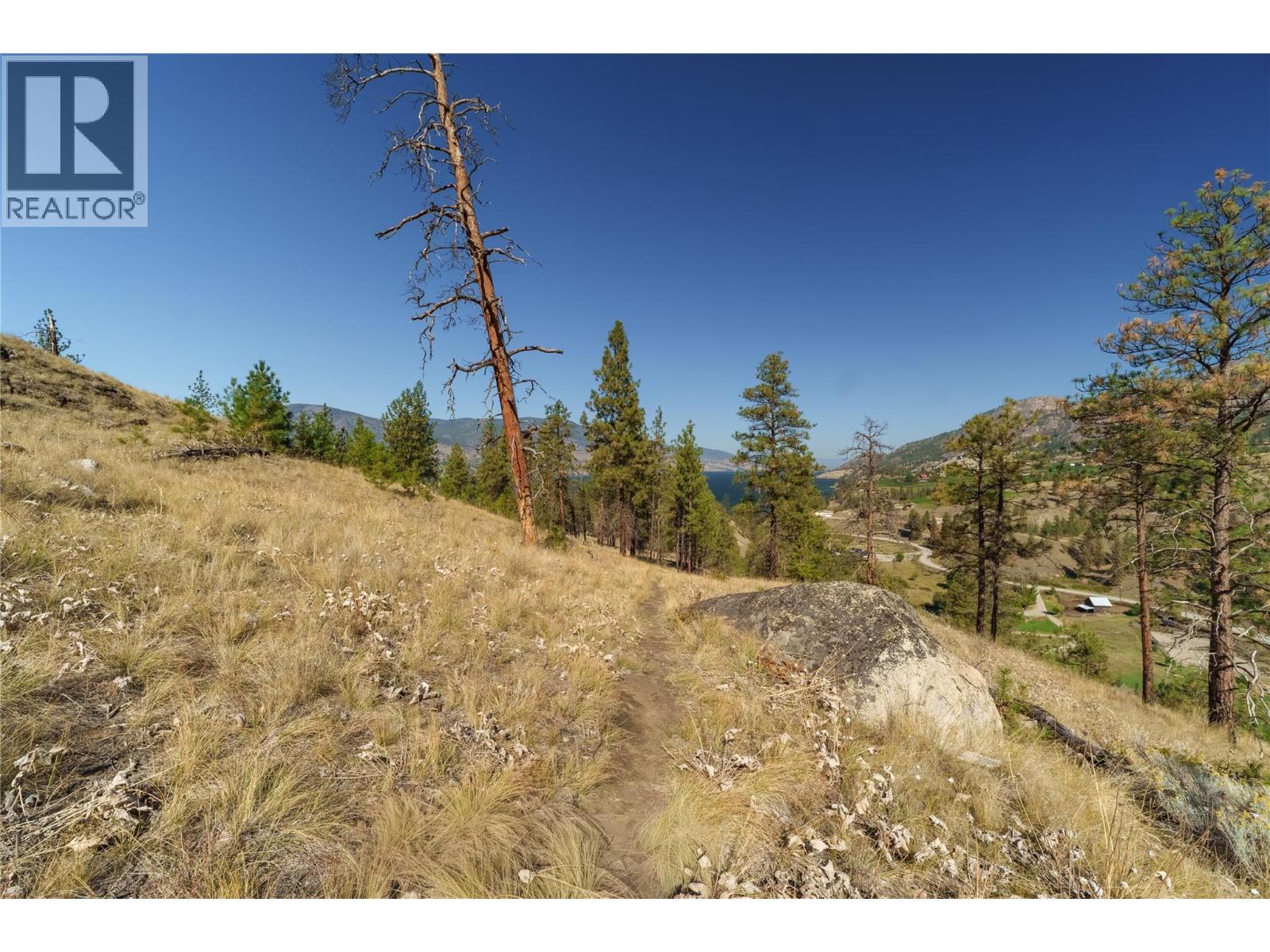 Prpsd Lt 1 47 Street, Okanagan Falls, British Columbia  V0H 1R5 - Photo 28 - 10401523
