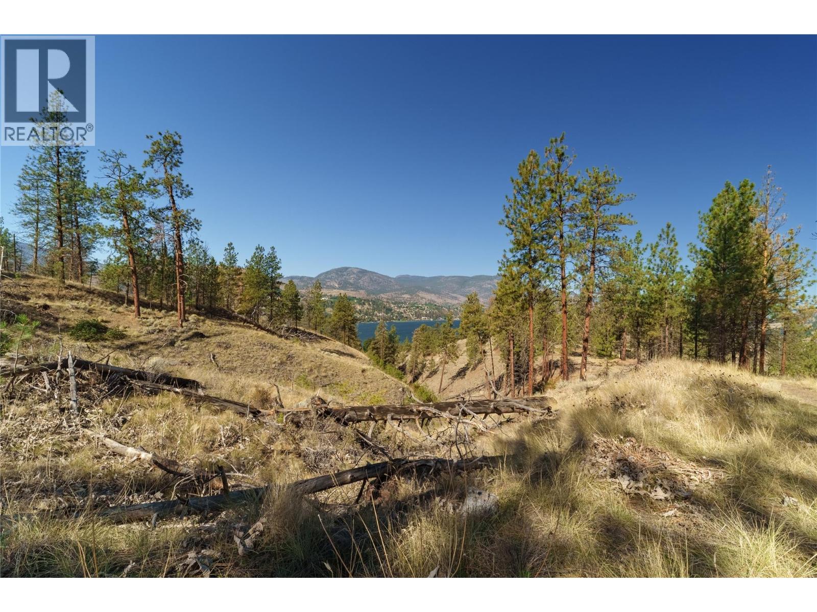 Prpsd Lt 1 47 Street, Okanagan Falls, British Columbia  V0H 1R5 - Photo 29 - 10401523