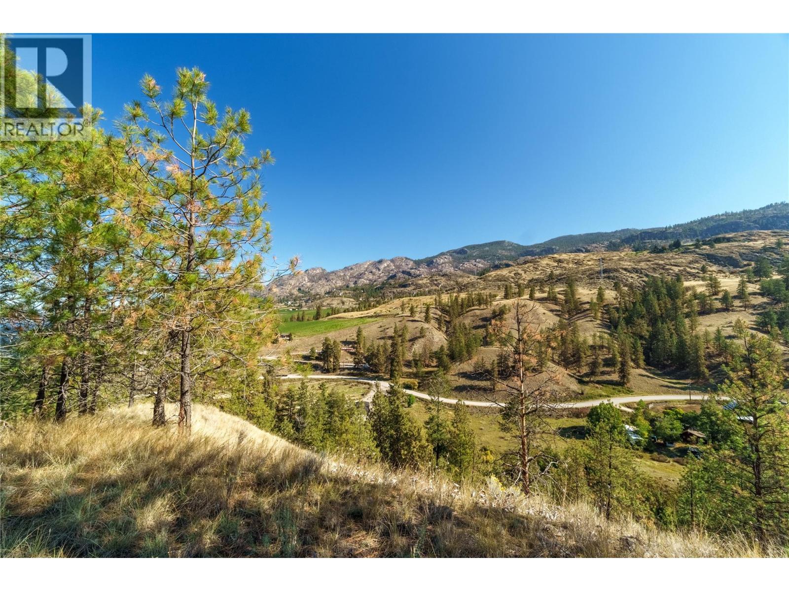 Prpsd Lt 1 47 Street, Okanagan Falls, British Columbia  V0H 1R5 - Photo 3 - 10401523