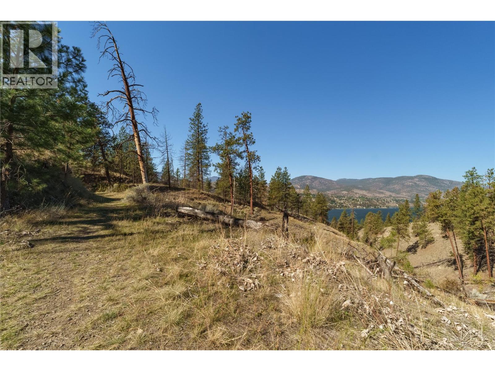 Prpsd Lt 1 47 Street, Okanagan Falls, British Columbia  V0H 1R5 - Photo 30 - 10401523