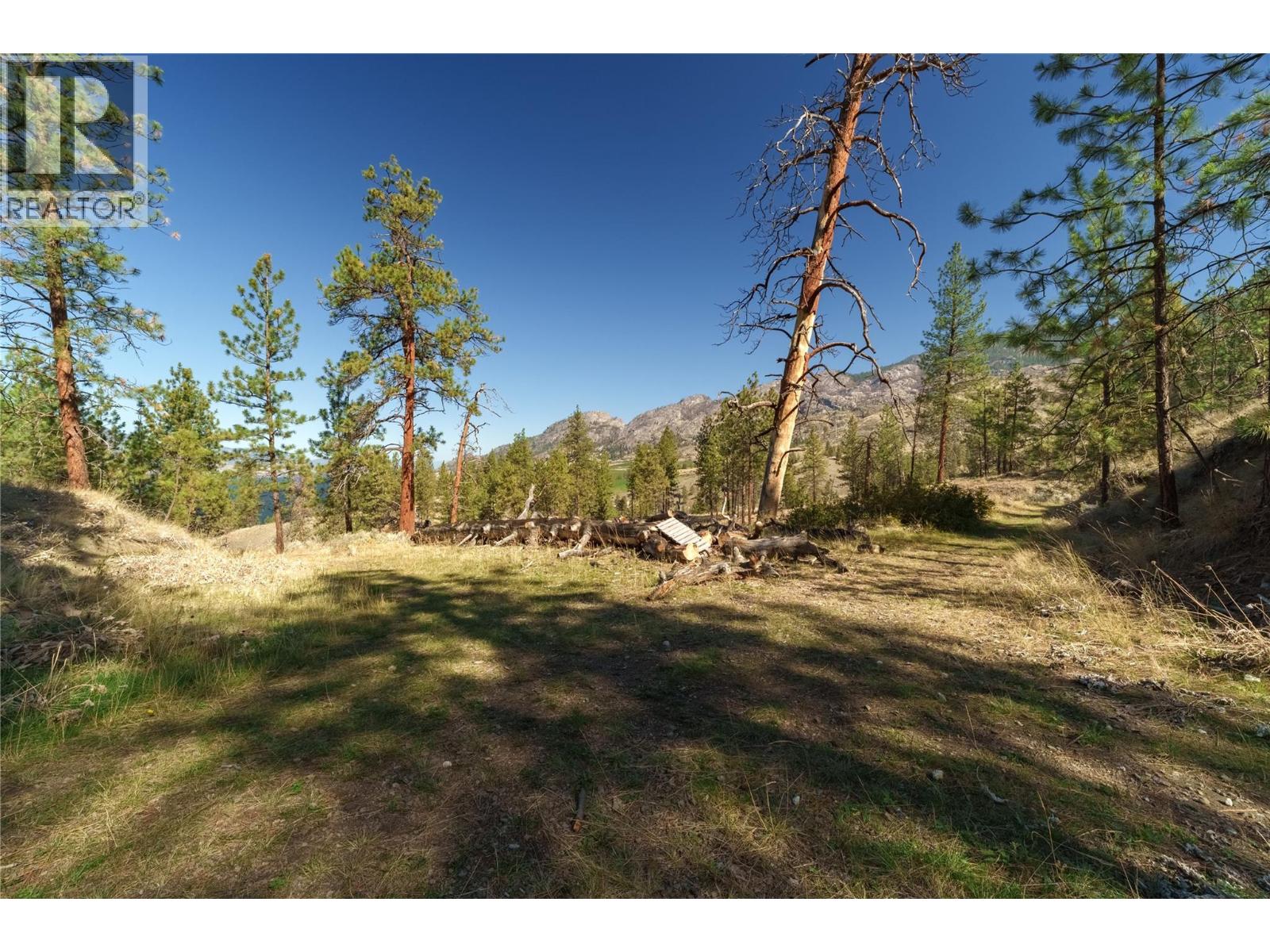 Prpsd Lt 1 47 Street, Okanagan Falls, British Columbia  V0H 1R5 - Photo 31 - 10401523
