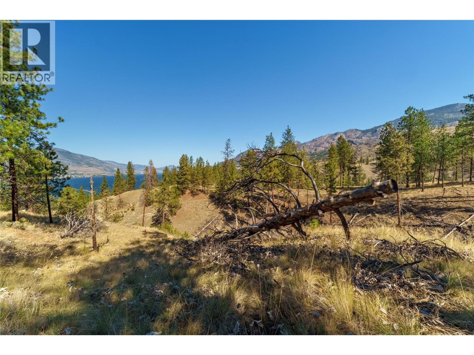 Prpsd Lt 1 47 Street, Okanagan Falls, British Columbia  V0H 1R5 - Photo 32 - 10401523