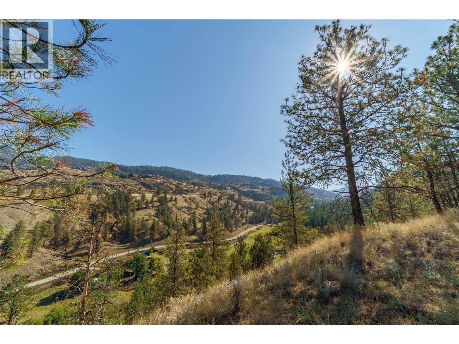 Prpsd Lt 1 47 Street, Okanagan Falls, British Columbia  V0H 1R5 - Photo 4 - 10401523