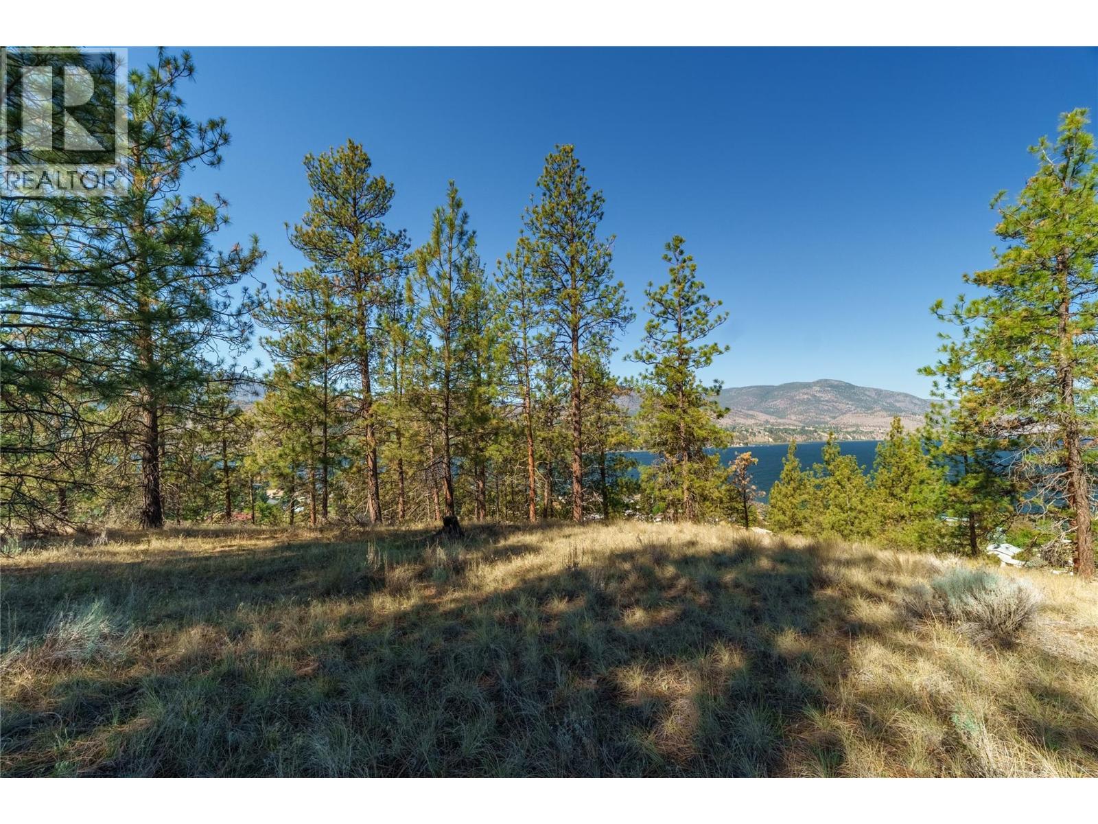 Prpsd Lt 1 47 Street, Okanagan Falls, British Columbia  V0H 1R5 - Photo 5 - 10401523