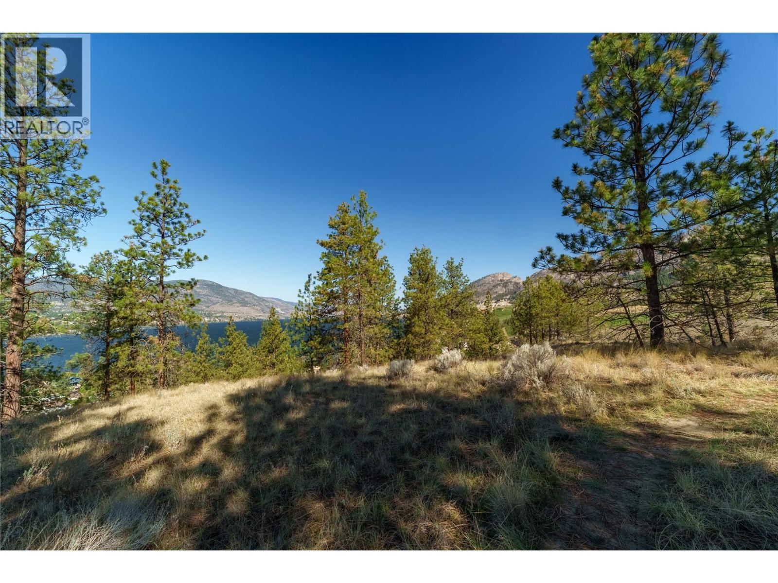 Prpsd Lt 1 47 Street, Okanagan Falls, British Columbia  V0H 1R5 - Photo 6 - 10401523