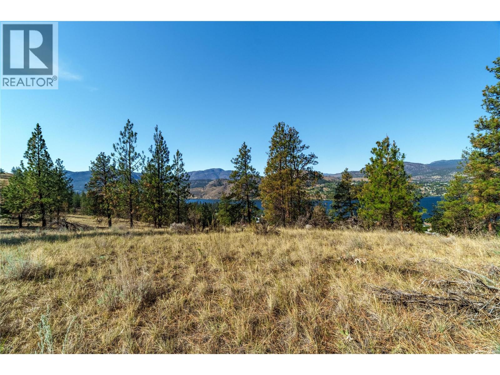 Prpsd Lt 1 47 Street, Okanagan Falls, British Columbia  V0H 1R5 - Photo 8 - 10401523