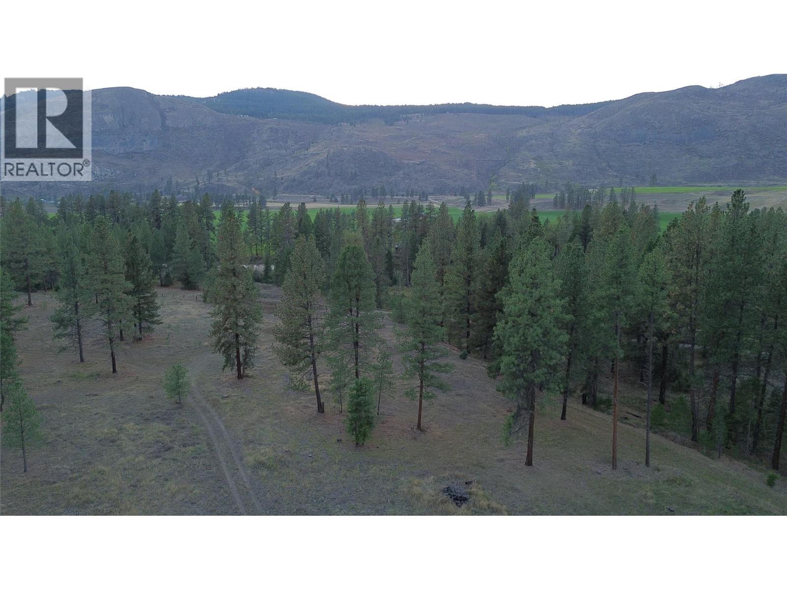 Dl 1402s Kettle River E Road, Rock Creek, British Columbia  V0H 1Y0 - Photo 6 - 10401646