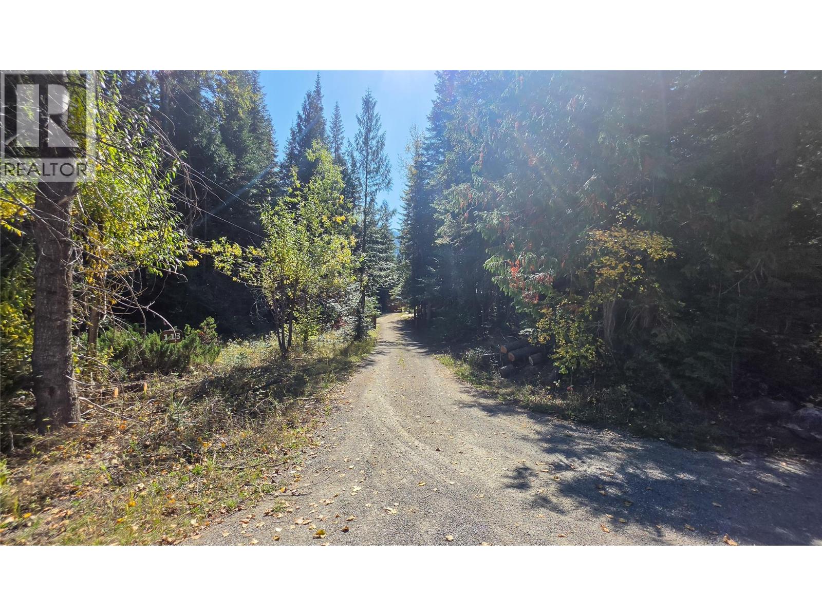 113 Wesco Road, Ymir, British Columbia  V0G 2K0 - Photo 55 - 10401678
