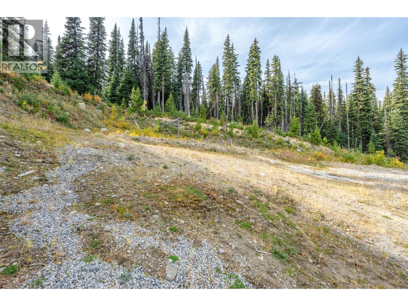 185 Snow Mountain Place, Apex Mountain, British Columbia  V0H 1K0 - Photo 11 - 10401659