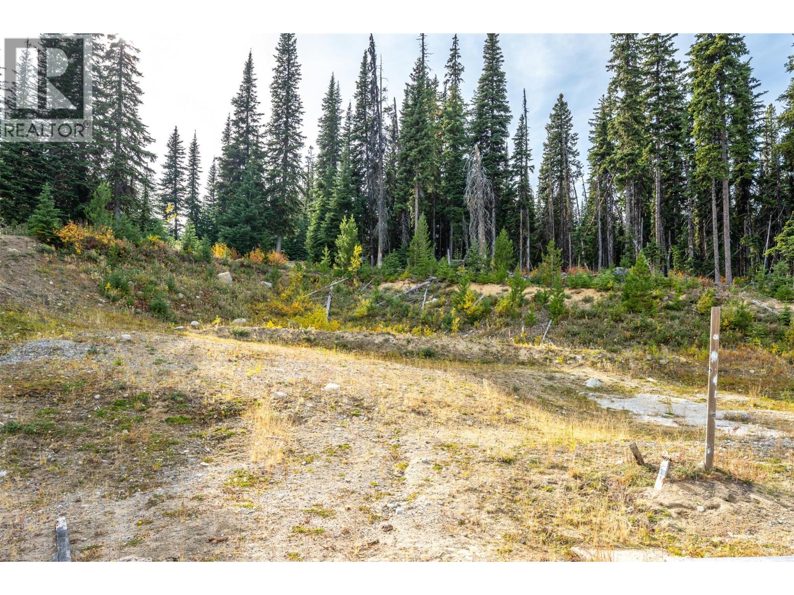 185 Snow Mountain Place, Apex Mountain, British Columbia  V0H 1K0 - Photo 3 - 10401659