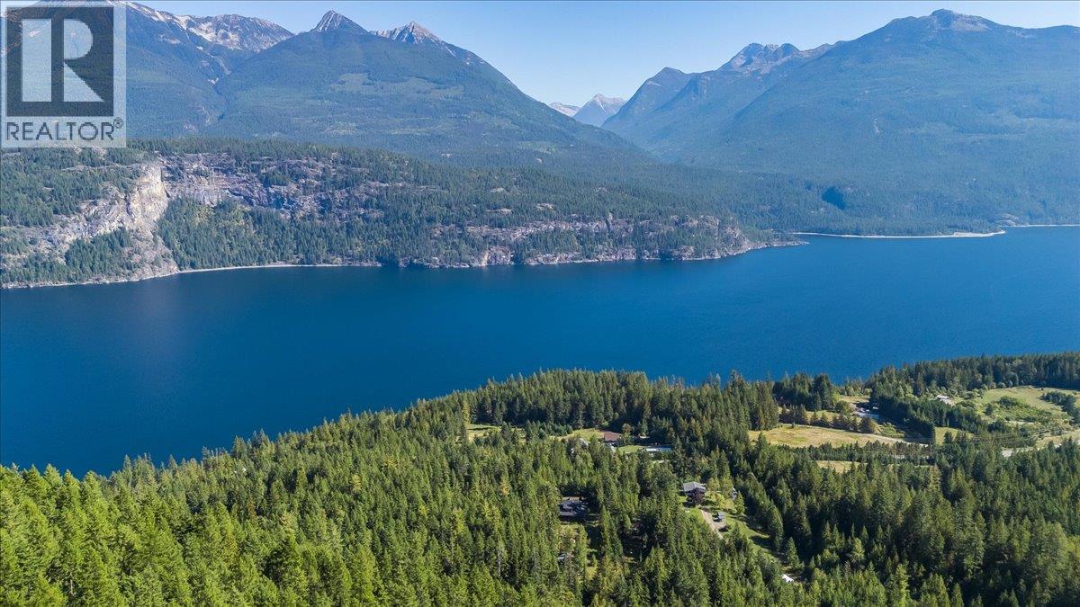 9233 31 Highway, Kaslo, British Columbia  V0G 1M0 - Photo 61 - 10401692