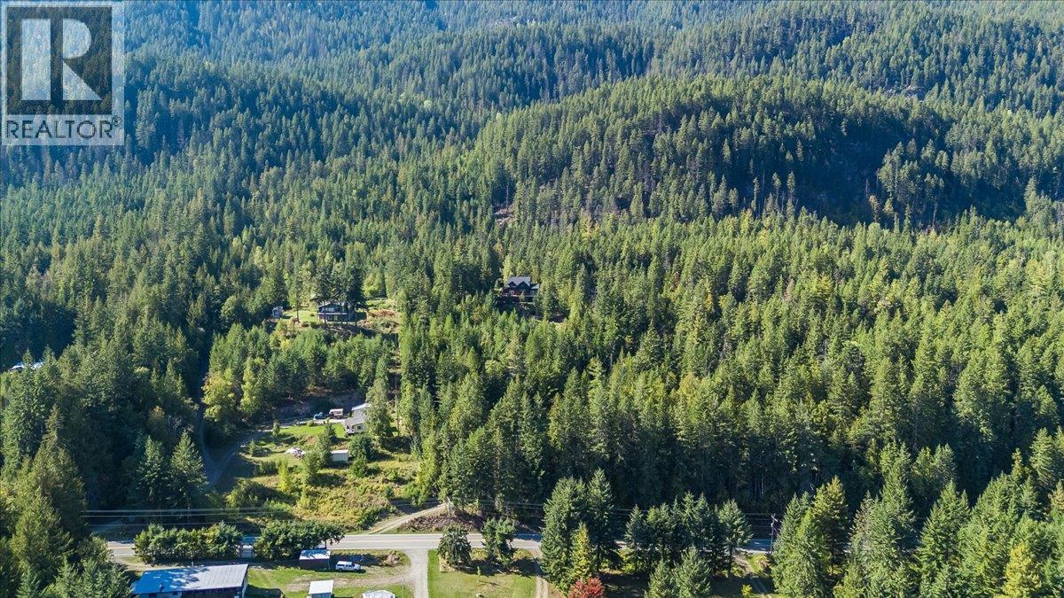 9233 31 Highway, Kaslo, British Columbia  V0G 1M0 - Photo 63 - 10401692