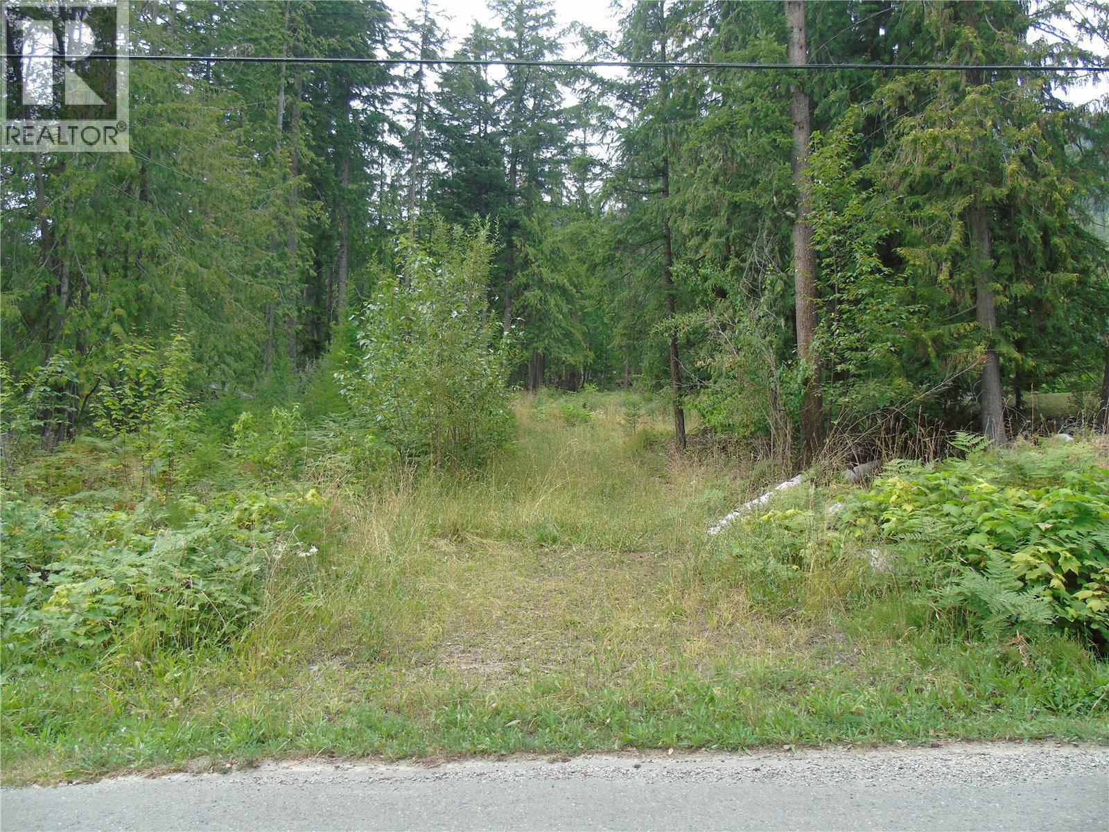 Vickers Trail Lot# 80, Anglemont, British Columbia  V0E 1M8 - Photo 1 - 10401592