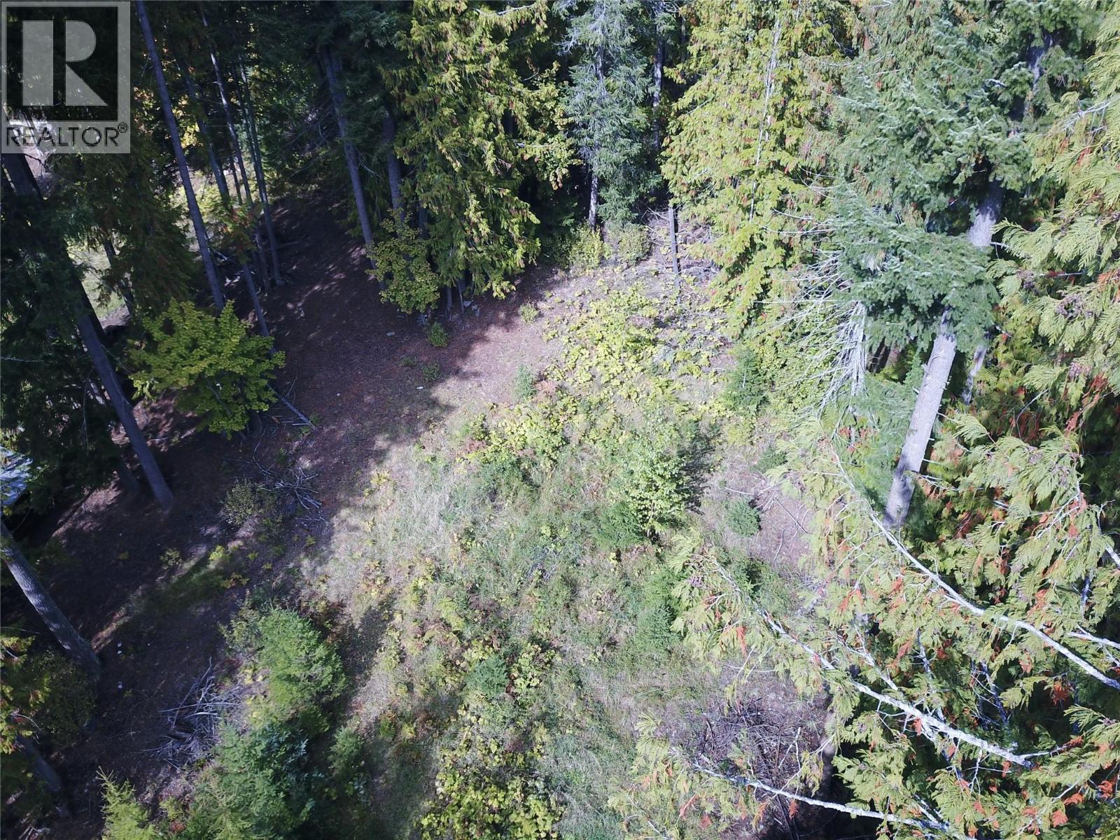 Vickers Trail Lot# 80, Anglemont, British Columbia  V0E 1M8 - Photo 10 - 10401592