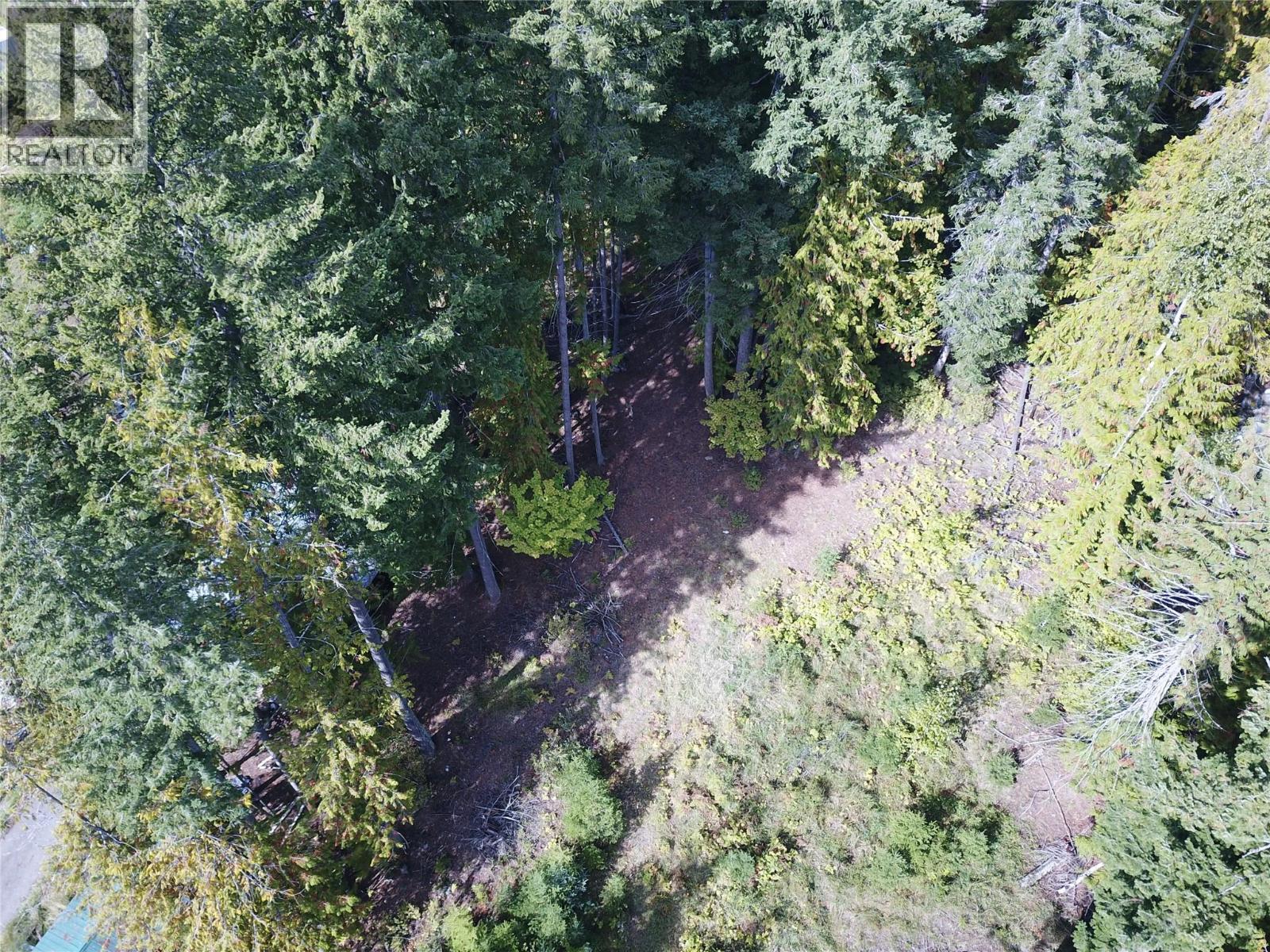 Vickers Trail Lot# 80, Anglemont, British Columbia  V0E 1M8 - Photo 11 - 10401592