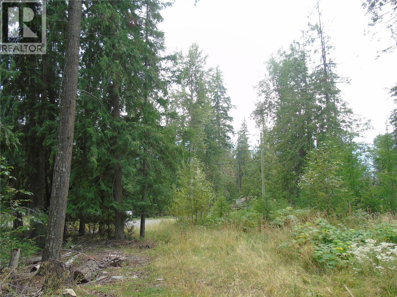 Vickers Trail Lot# 80, Anglemont, British Columbia  V0E 1M8 - Photo 2 - 10401592