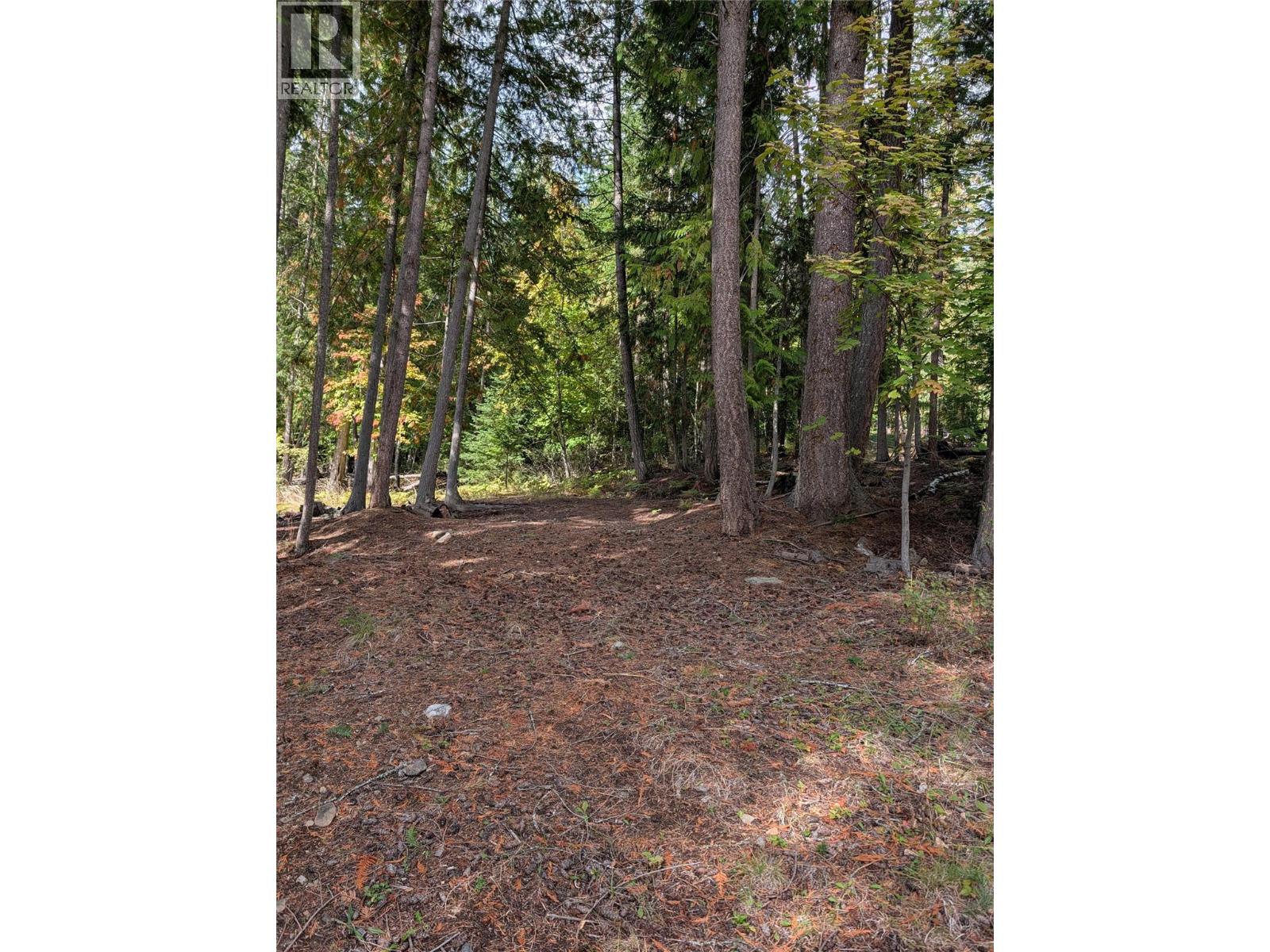 Vickers Trail Lot# 80, Anglemont, British Columbia  V0E 1M8 - Photo 3 - 10401592