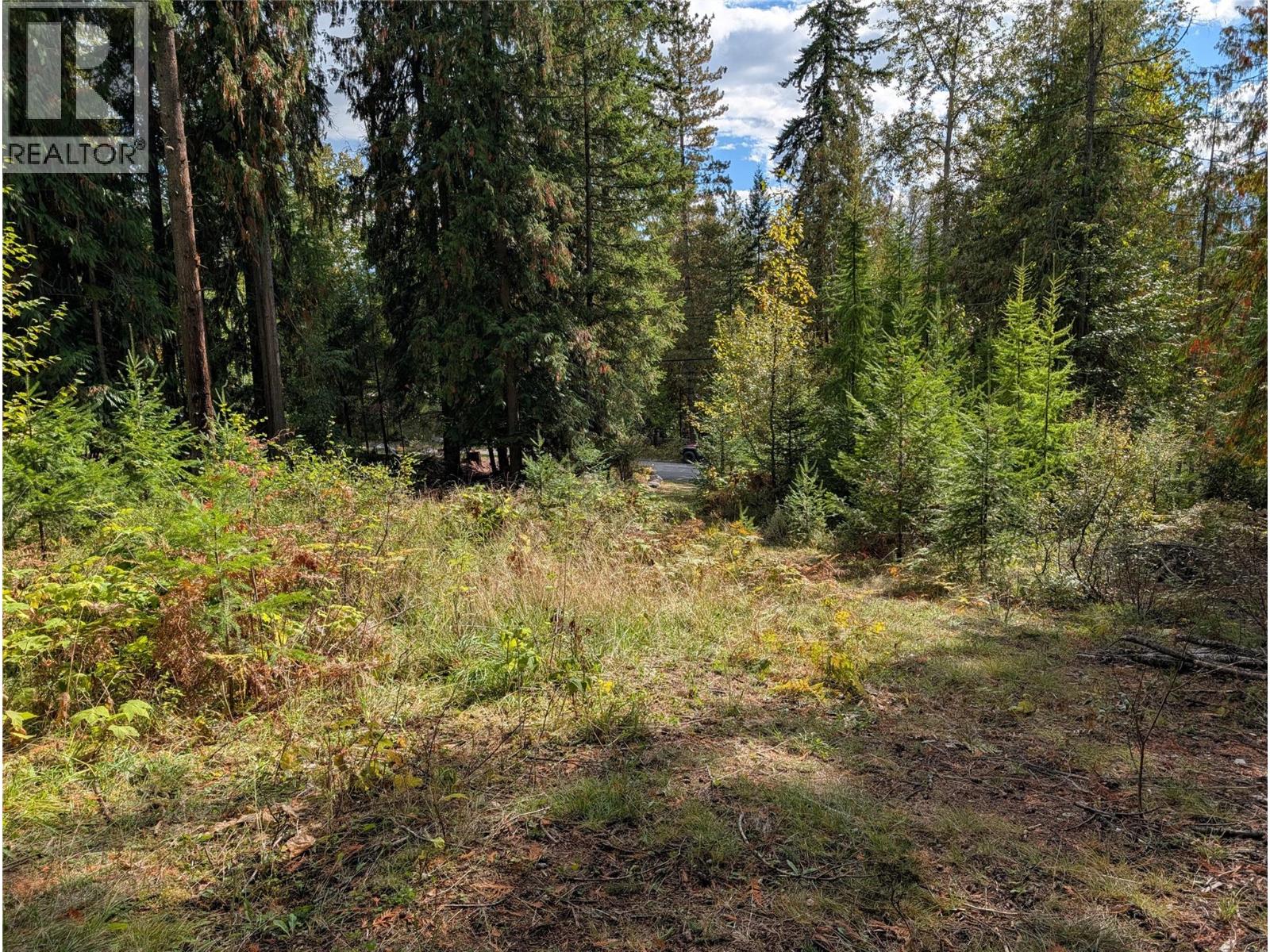 Vickers Trail Lot# 80, Anglemont, British Columbia  V0E 1M8 - Photo 4 - 10401592