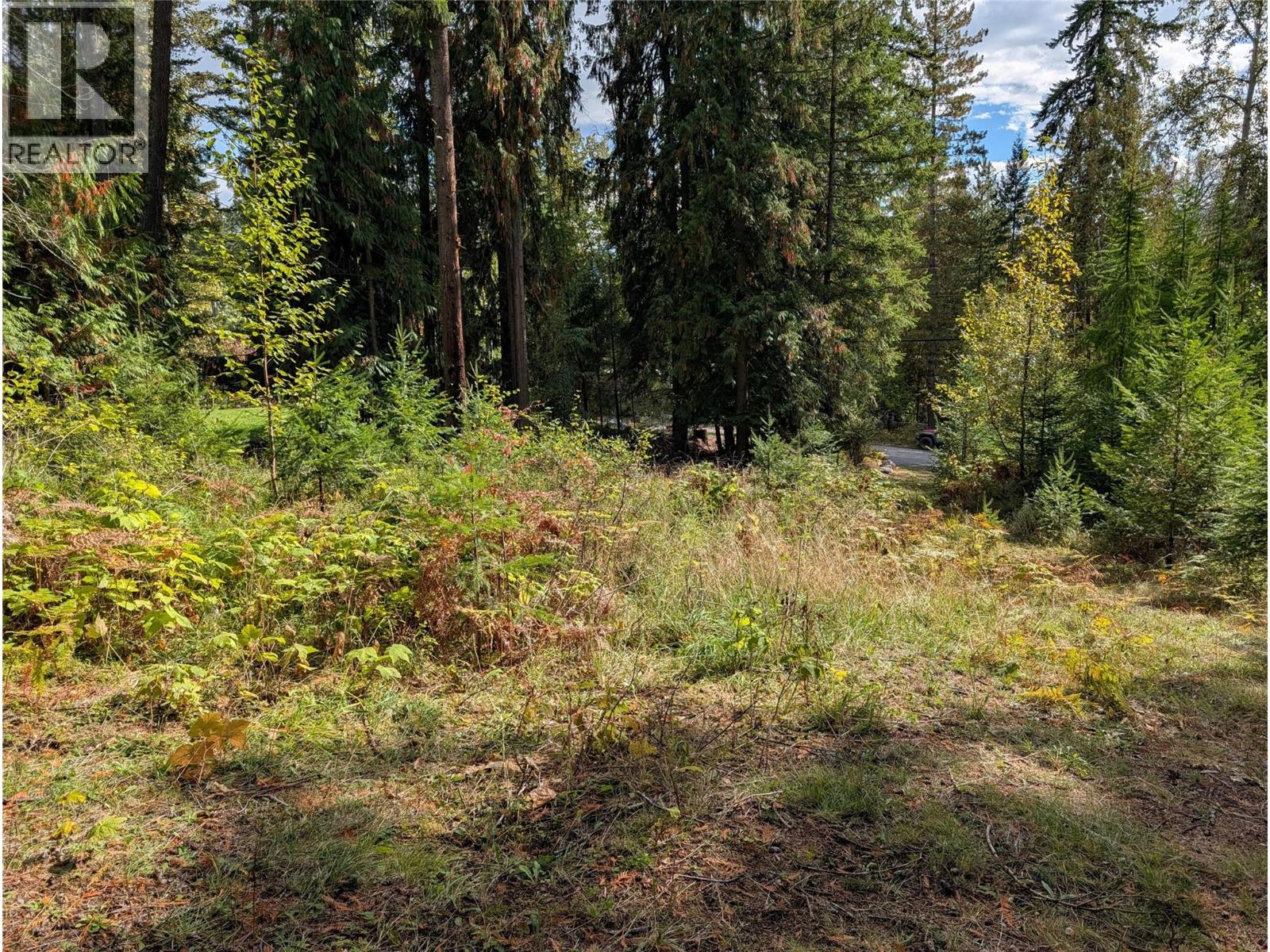Vickers Trail Lot# 80, Anglemont, British Columbia  V0E 1M8 - Photo 5 - 10401592