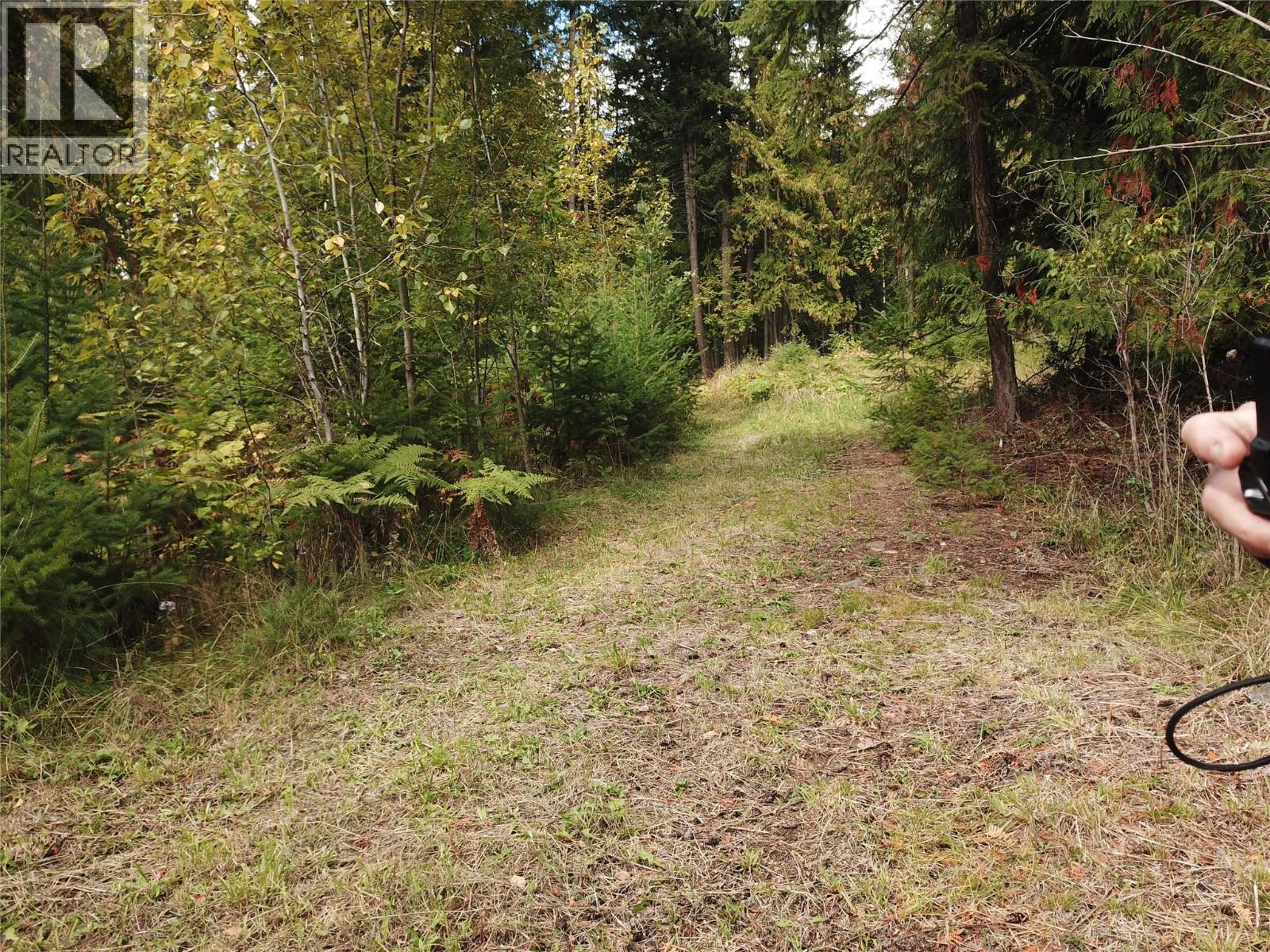 Vickers Trail Lot# 80, Anglemont, British Columbia  V0E 1M8 - Photo 6 - 10401592