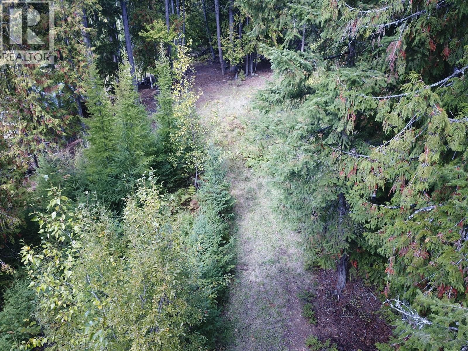 Vickers Trail Lot# 80, Anglemont, British Columbia  V0E 1M8 - Photo 7 - 10401592