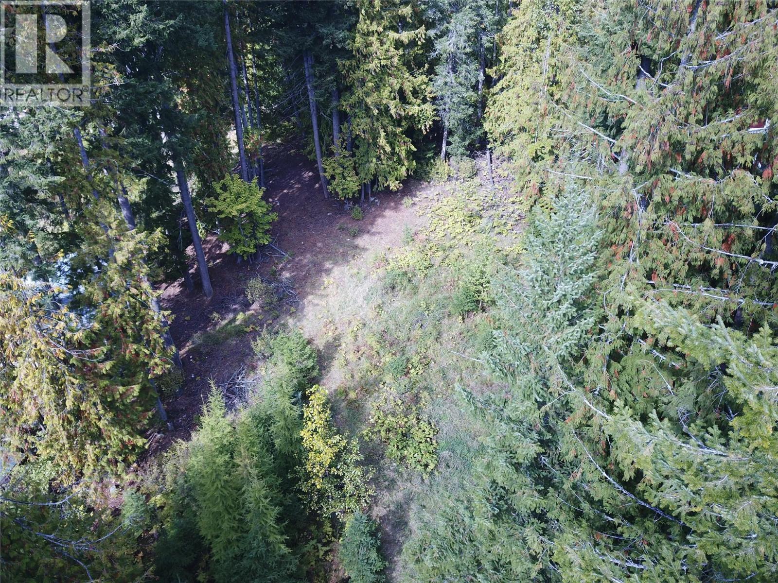 Vickers Trail Lot# 80, Anglemont, British Columbia  V0E 1M8 - Photo 8 - 10401592