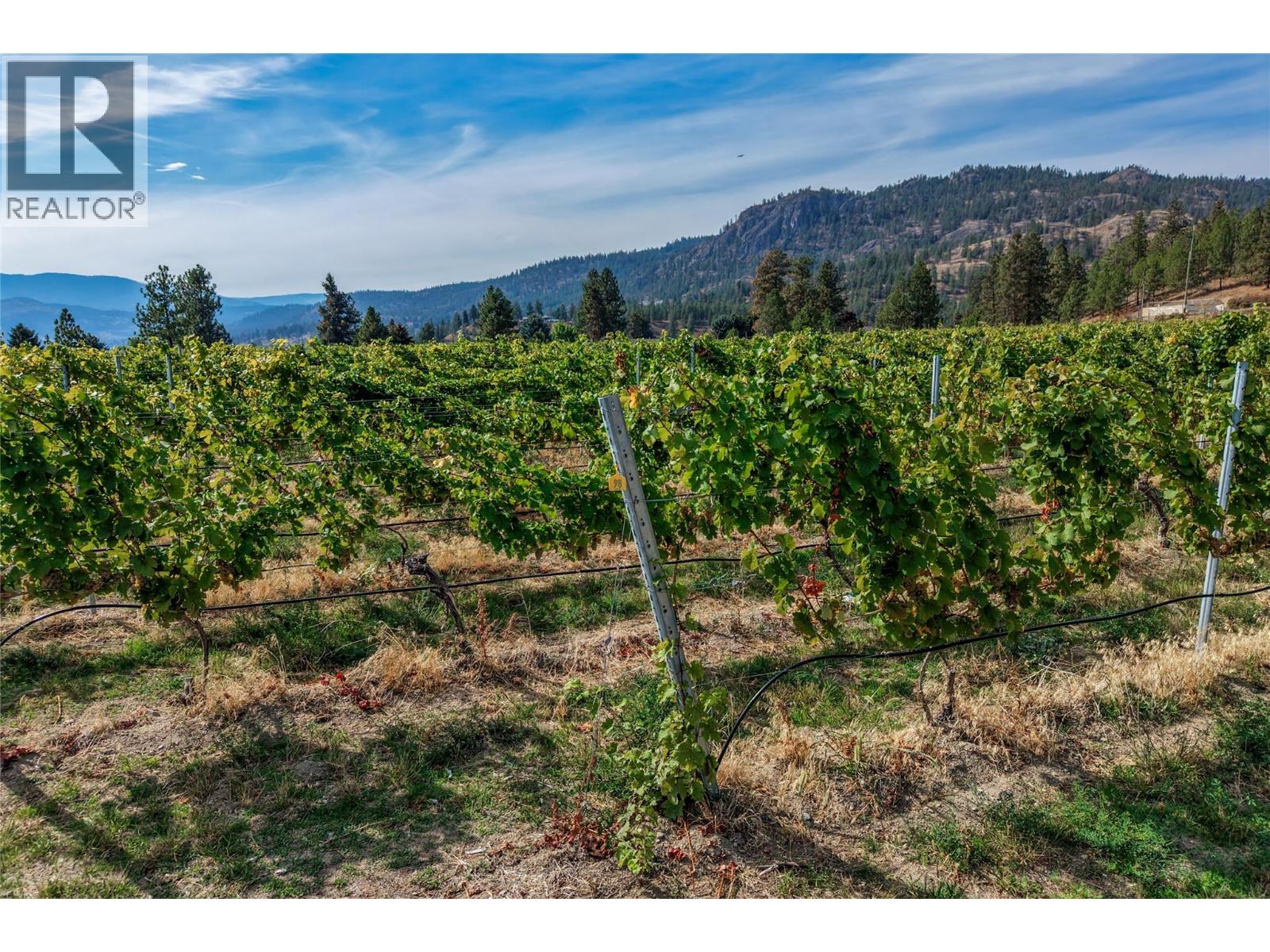 5355 Trepanier Bench Road, Peachland, British Columbia  V0H 1X2 - Photo 12 - 10401888