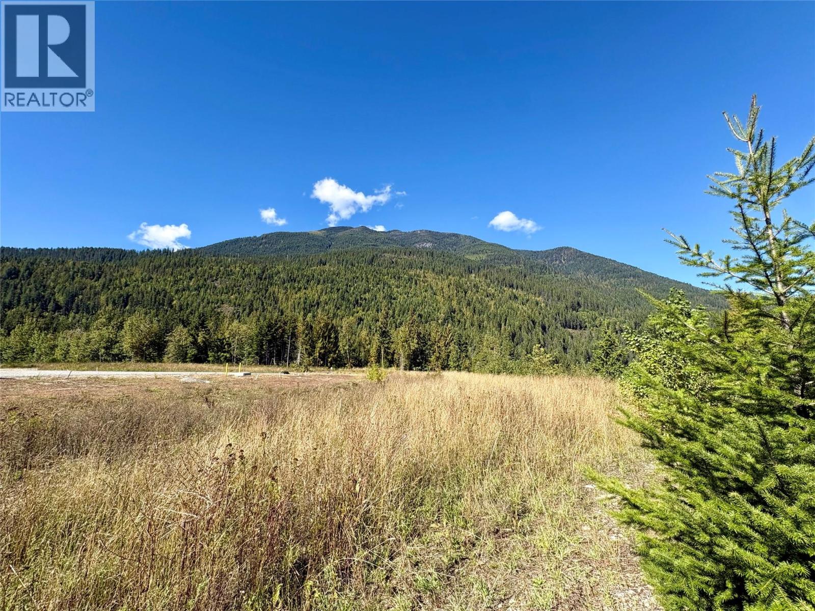 205 Edward Street Lot# 42, Balfour, British Columbia  V0G 1C0 - Photo 7 - 10399167