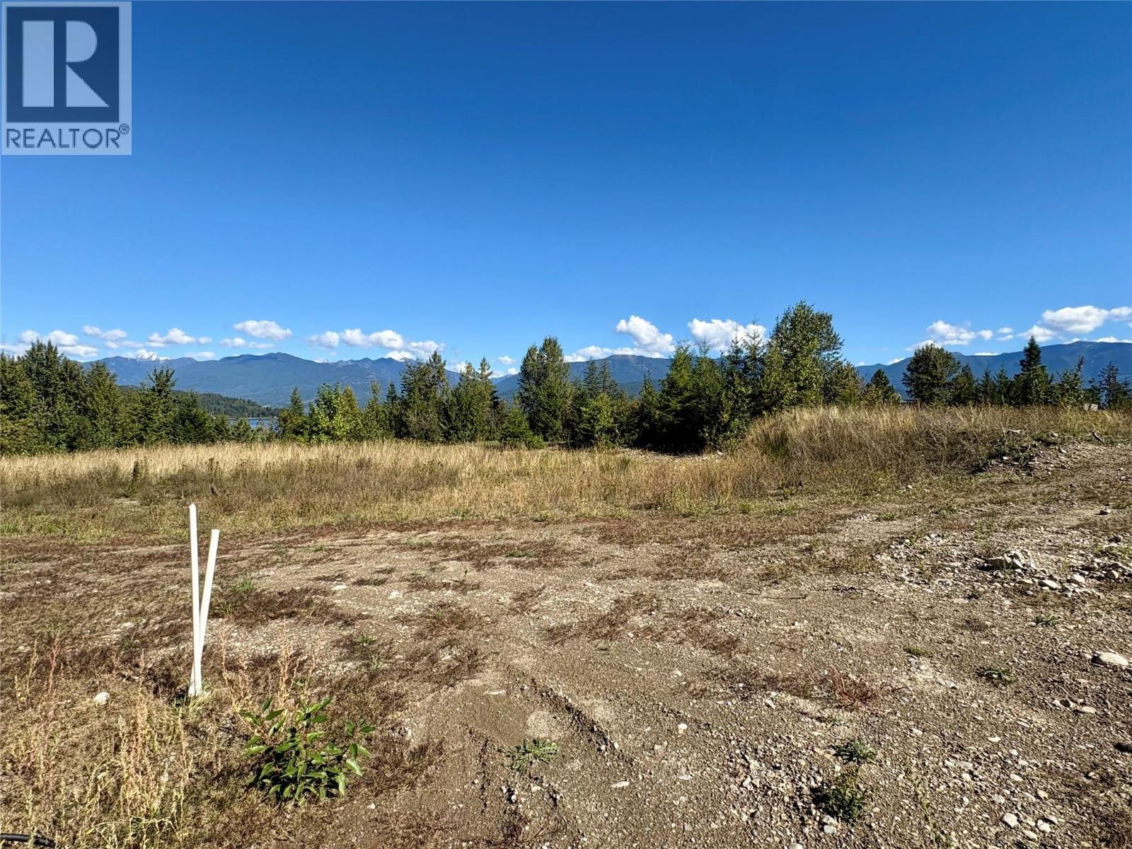 205 Edward Street Lot# 61, Balfour, British Columbia  V0G 1C0 - Photo 3 - 10399064