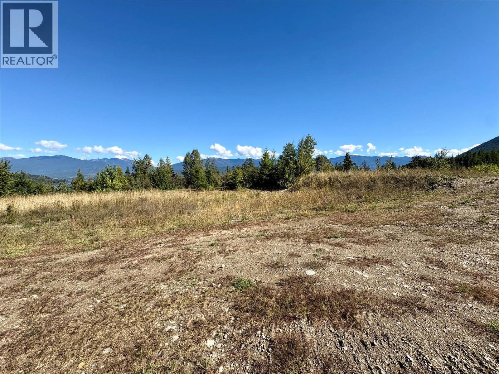 205 Edward Street Lot# 61, Balfour, British Columbia  V0G 1C0 - Photo 4 - 10399064