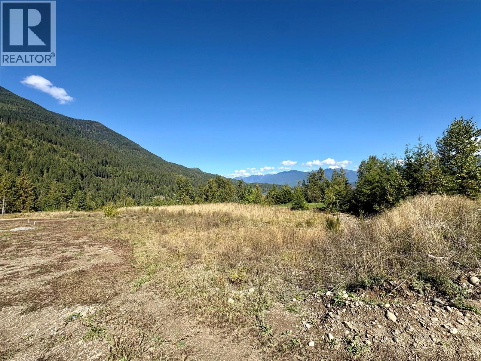 205 Edward Street Lot# 61, Balfour, British Columbia  V0G 1C0 - Photo 5 - 10399064