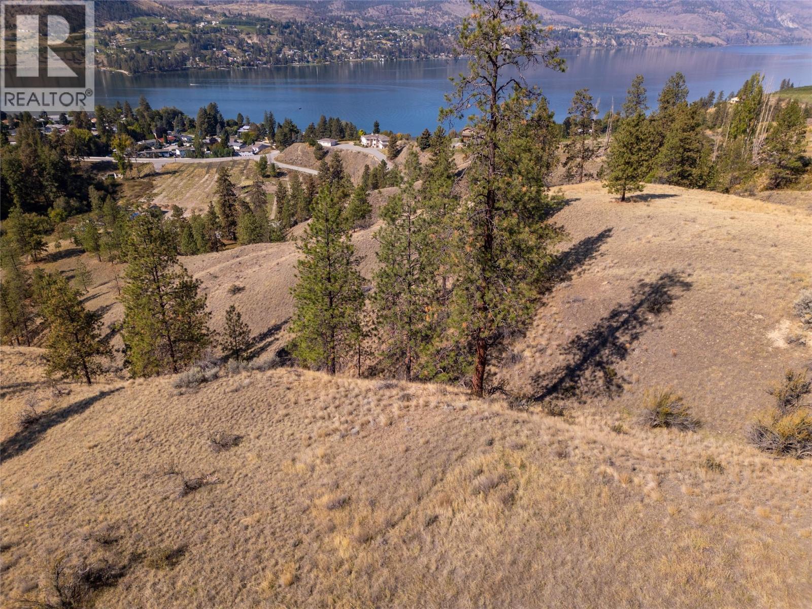 Prpsd Lt 2 47 Street, Okanagan Falls, British Columbia  V0H 1R5 - Photo 1 - 10401709