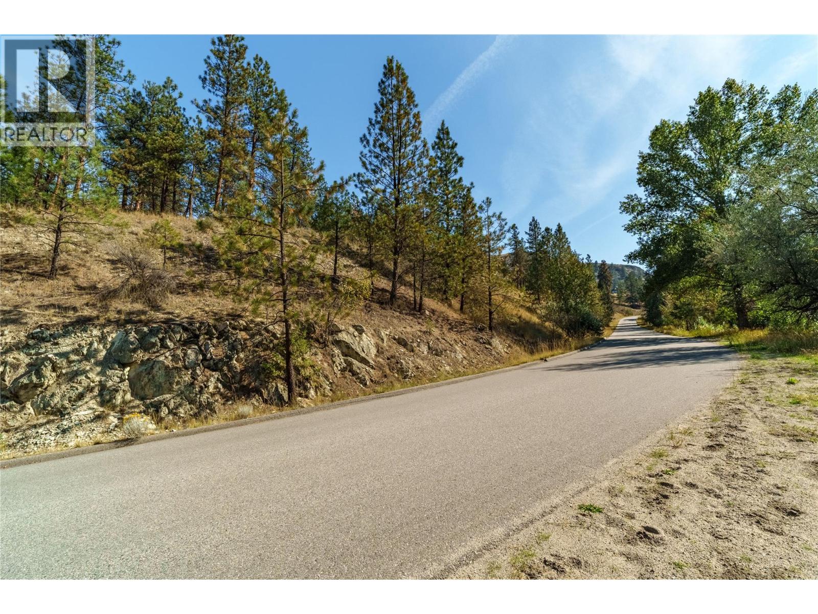 Prpsd Lt 2 47 Street, Okanagan Falls, British Columbia  V0H 1R5 - Photo 10 - 10401709