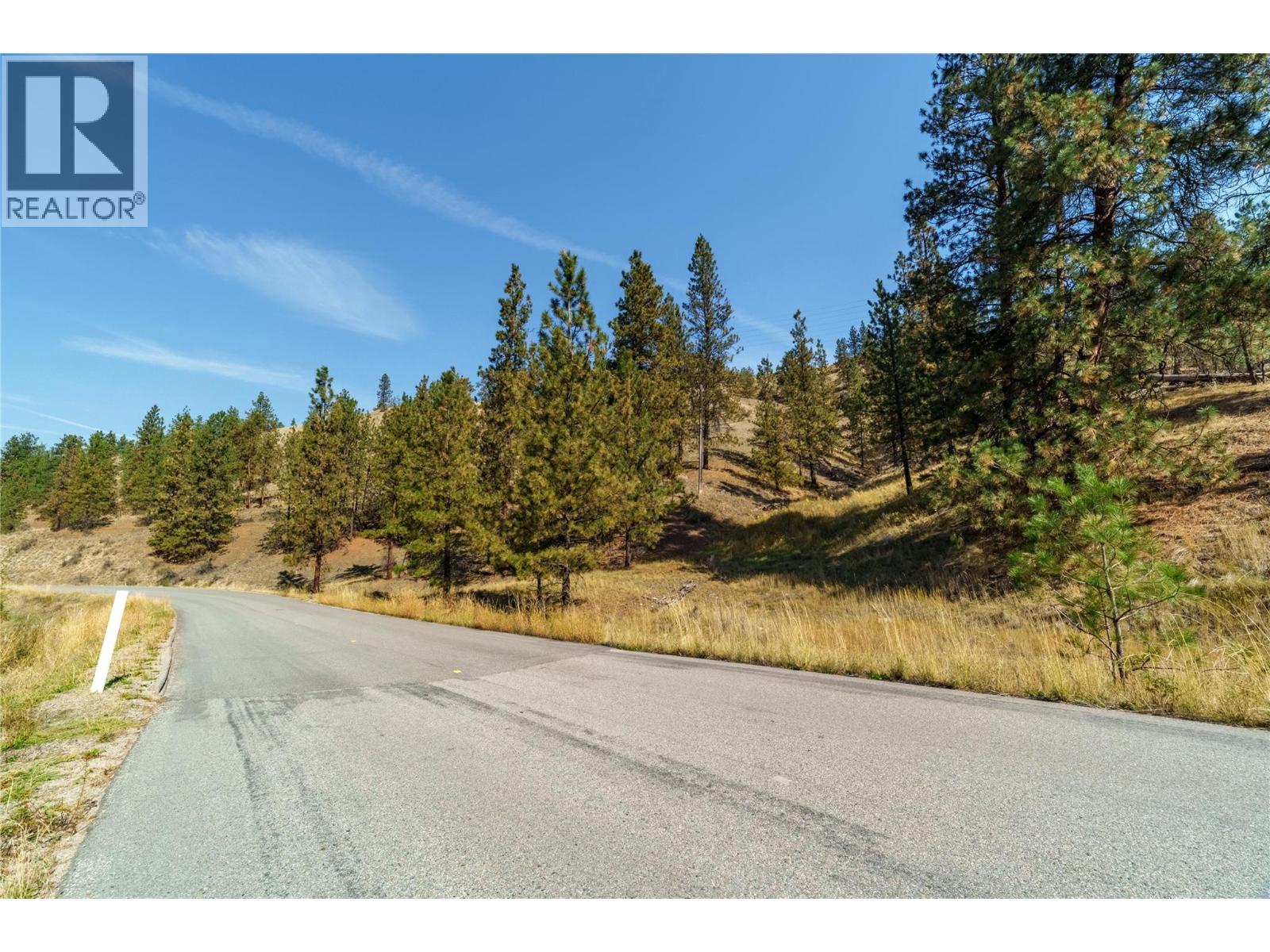 Prpsd Lt 2 47 Street, Okanagan Falls, British Columbia  V0H 1R5 - Photo 12 - 10401709