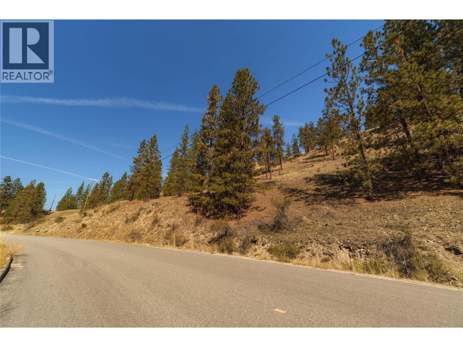Prpsd Lt 2 47 Street, Okanagan Falls, British Columbia  V0H 1R5 - Photo 15 - 10401709