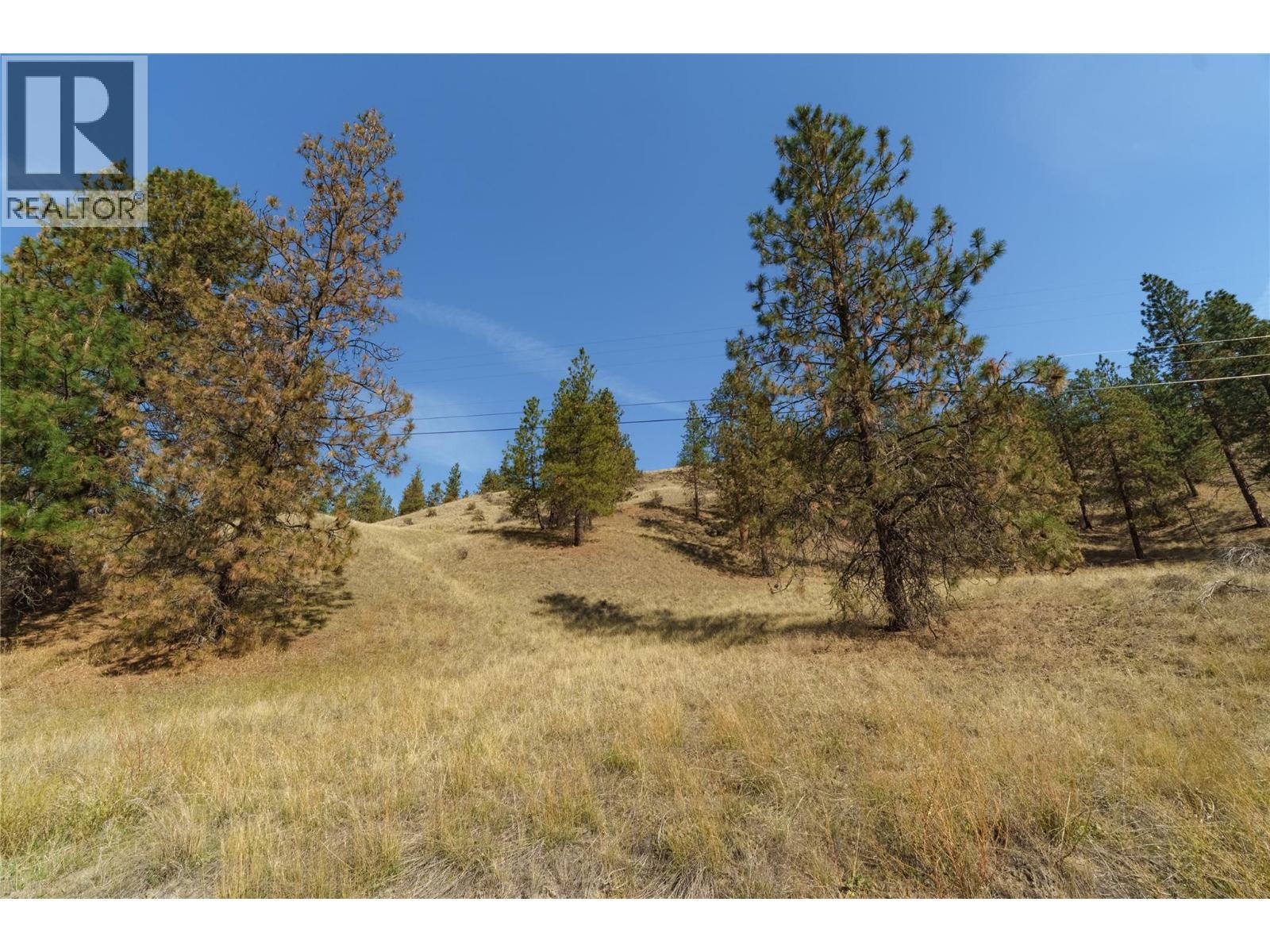 Prpsd Lt 2 47 Street, Okanagan Falls, British Columbia  V0H 1R5 - Photo 18 - 10401709