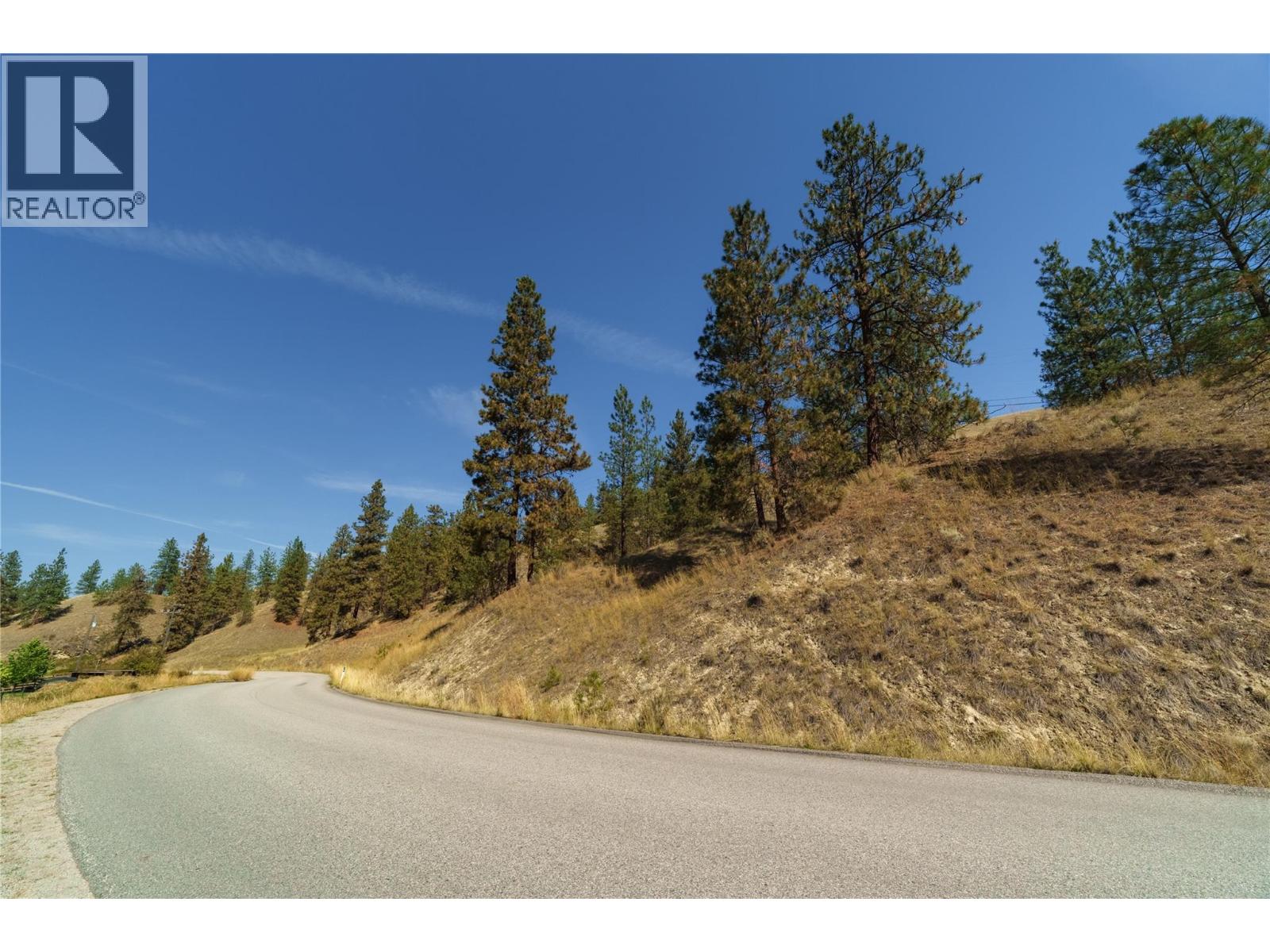 Prpsd Lt 2 47 Street, Okanagan Falls, British Columbia  V0H 1R5 - Photo 19 - 10401709