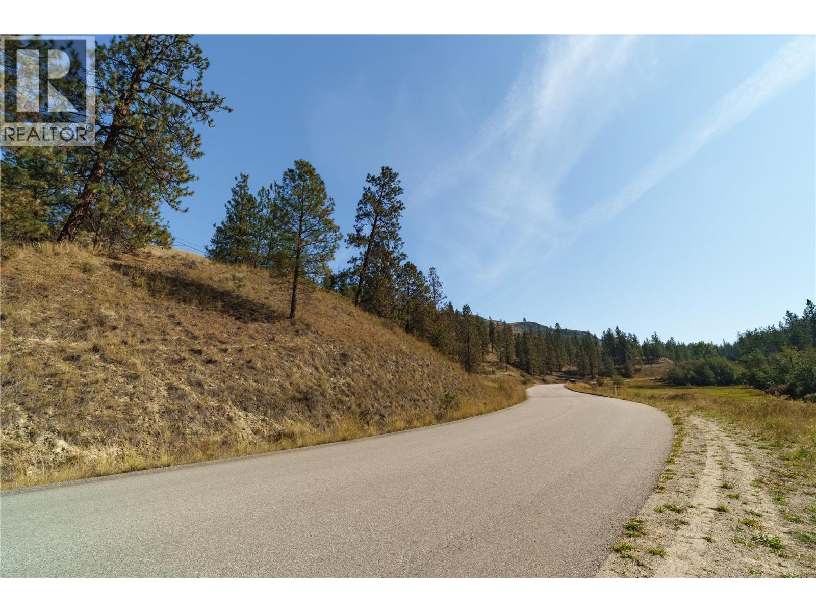 Prpsd Lt 2 47 Street, Okanagan Falls, British Columbia  V0H 1R5 - Photo 20 - 10401709