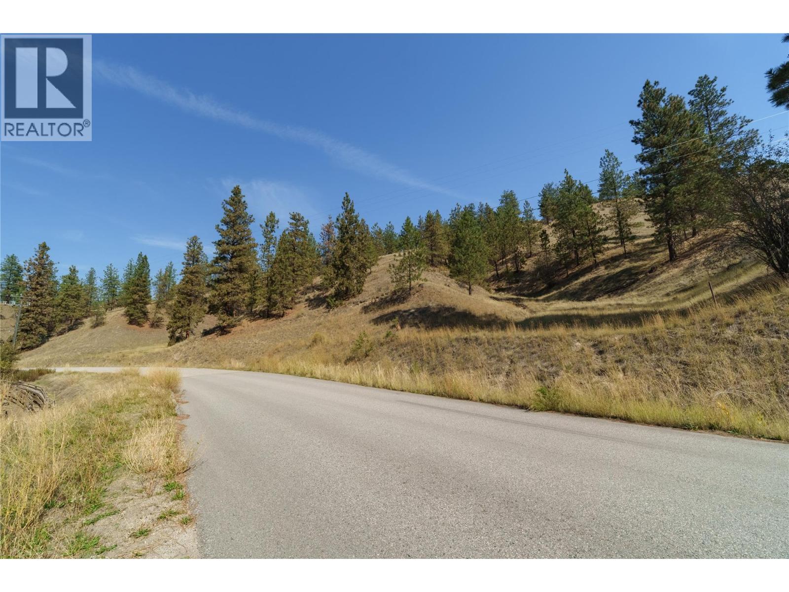 Prpsd Lt 2 47 Street, Okanagan Falls, British Columbia  V0H 1R5 - Photo 21 - 10401709