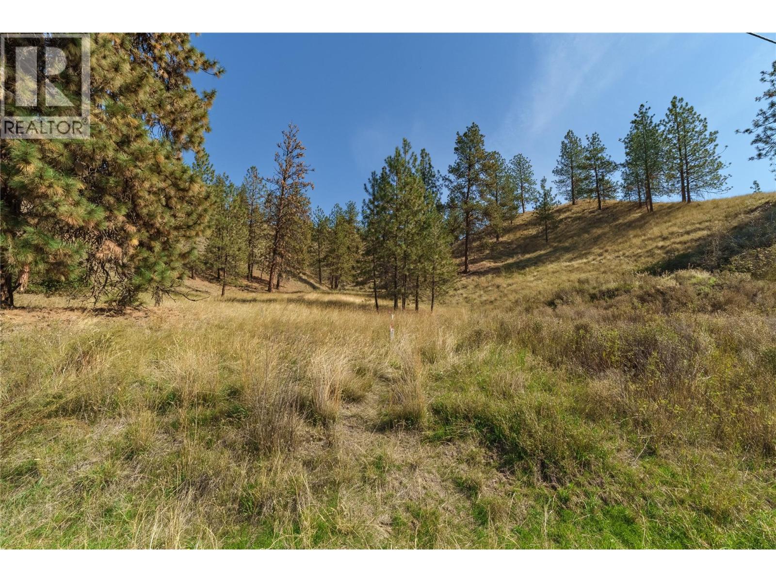 Prpsd Lt 2 47 Street, Okanagan Falls, British Columbia  V0H 1R5 - Photo 29 - 10401709