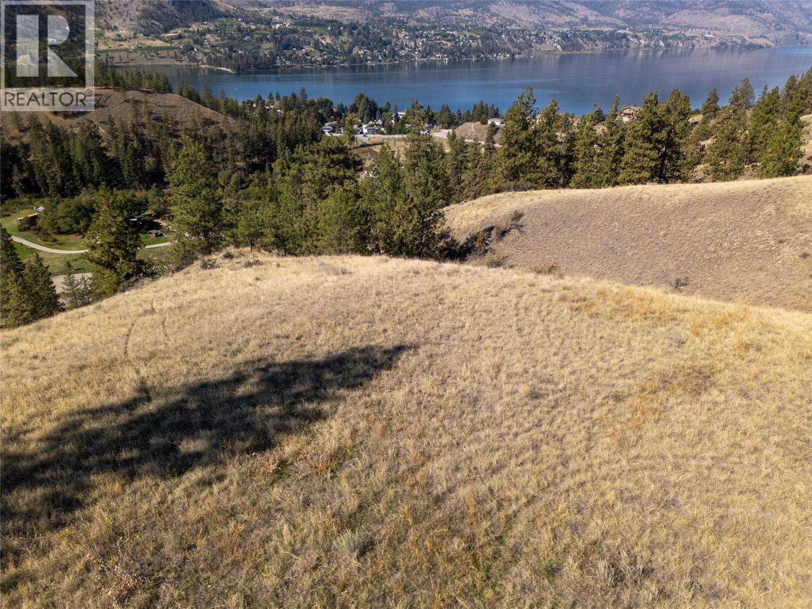 Prpsd Lt 2 47 Street, Okanagan Falls, British Columbia  V0H 1R5 - Photo 37 - 10401709