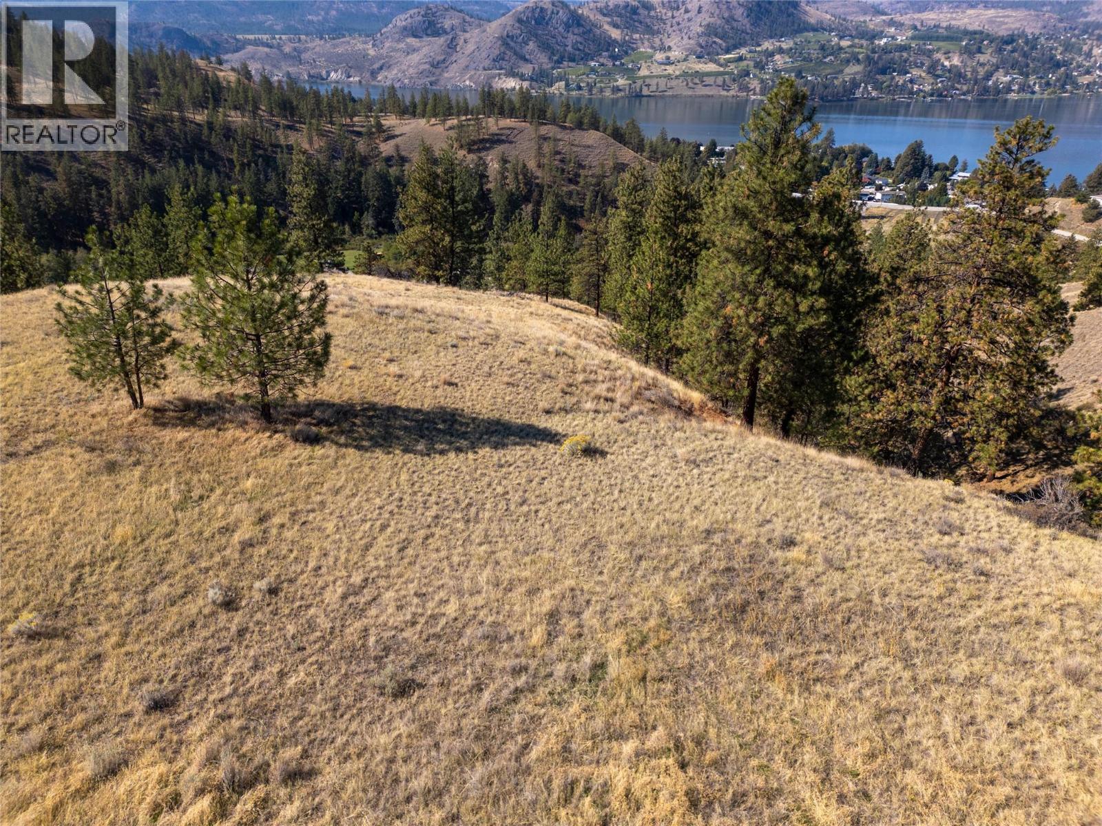 Prpsd Lt 2 47 Street, Okanagan Falls, British Columbia  V0H 1R5 - Photo 45 - 10401709