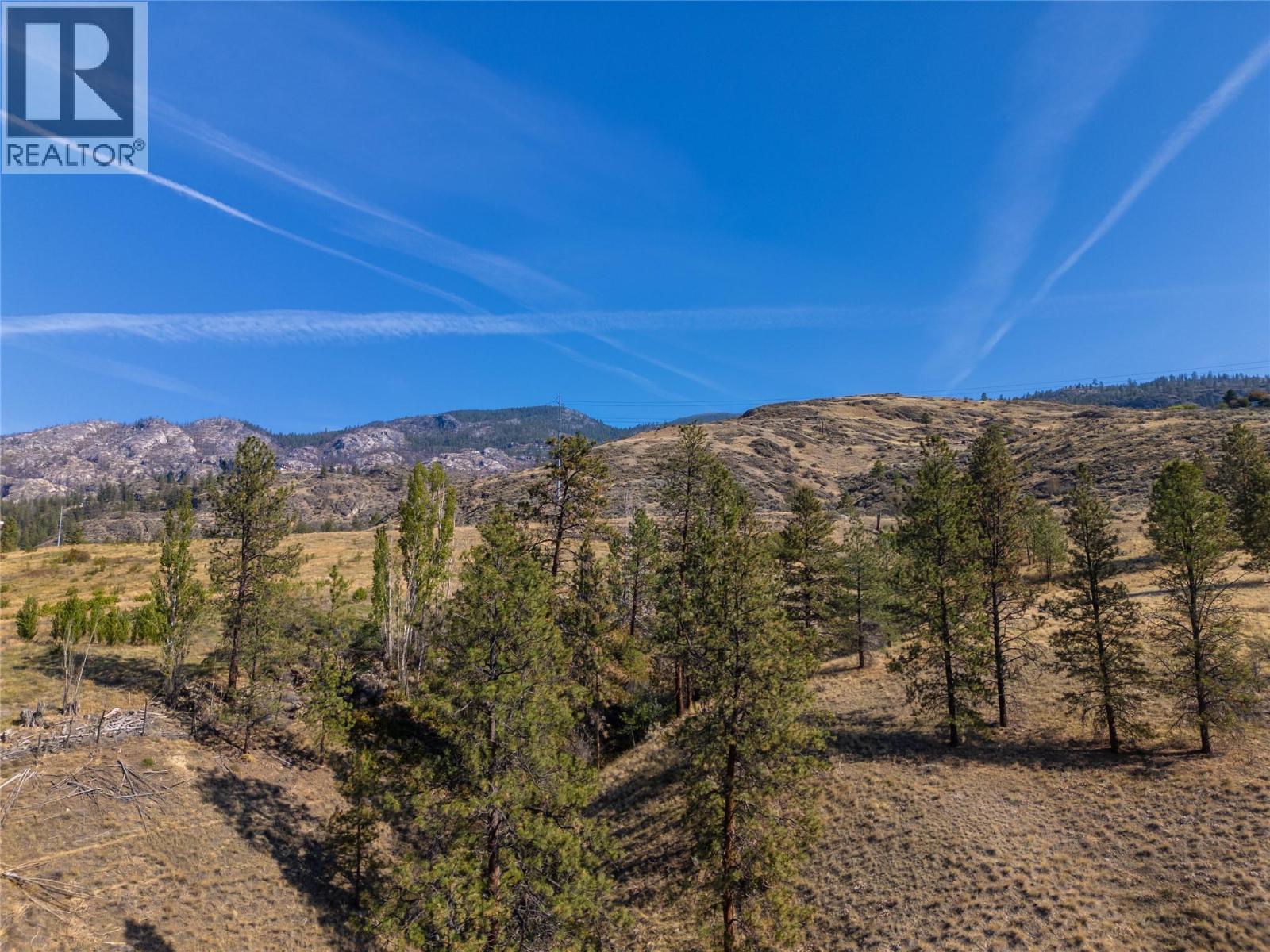 Prpsd Lt 2 47 Street, Okanagan Falls, British Columbia  V0H 1R5 - Photo 64 - 10401709