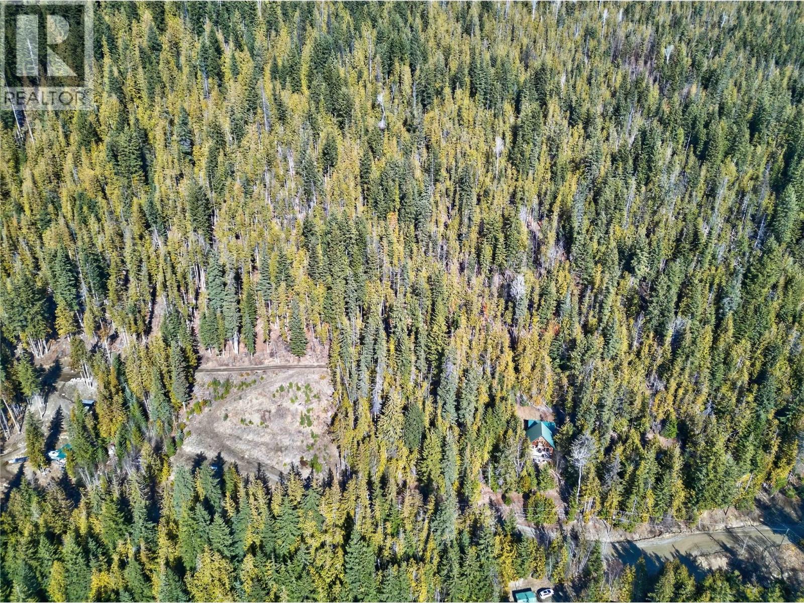 Vickers Trail Lot# 7, Anglemont, British Columbia  V0E 1M8 - Photo 6 - 10401976