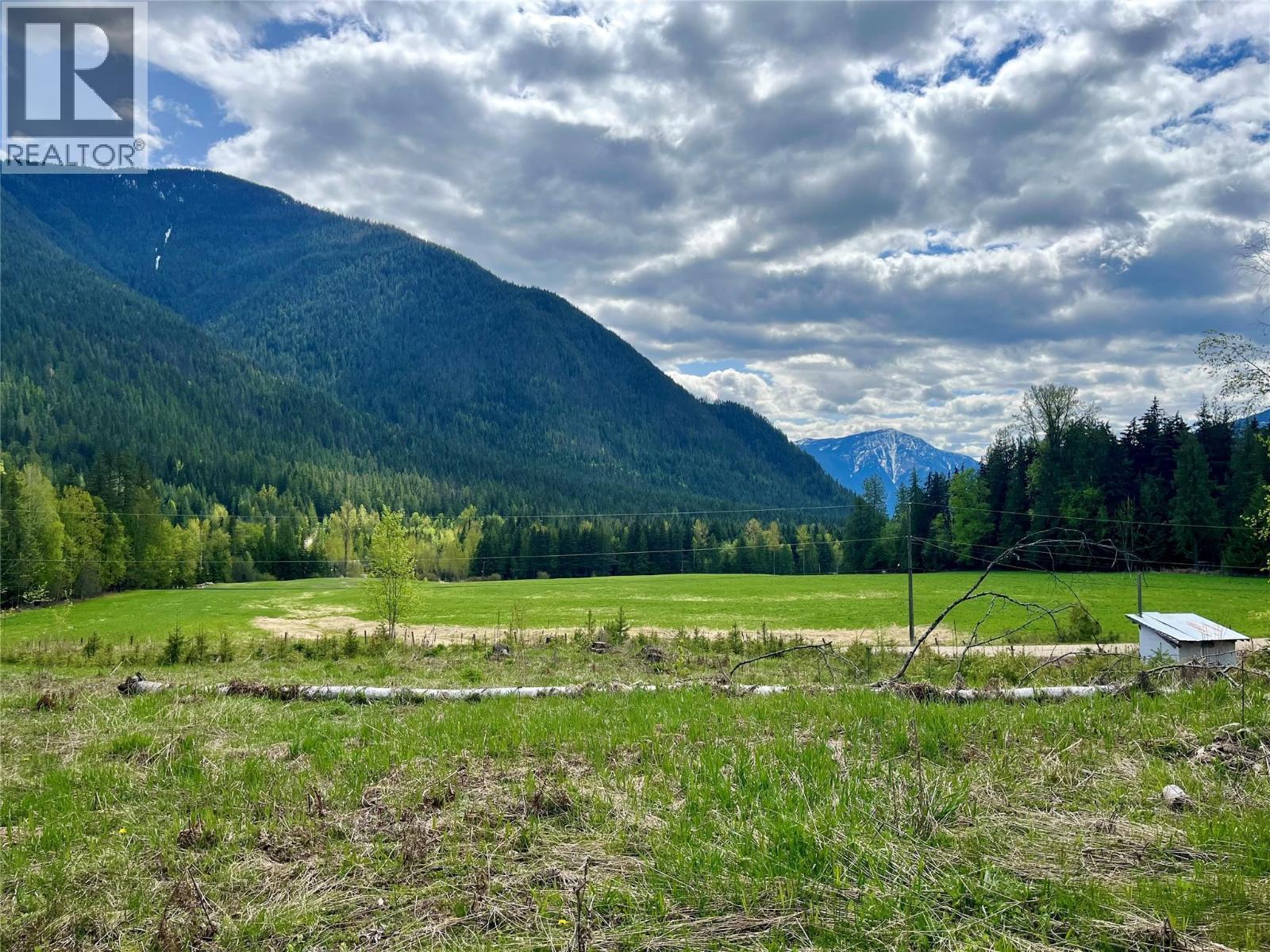 864 Bartley Road, Nakusp, British Columbia  V0G 1R1 - Photo 1 - 10401580