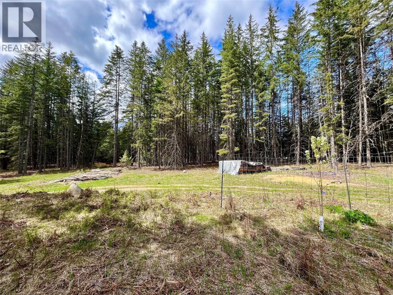 864 Bartley Road, Nakusp, British Columbia  V0G 1R1 - Photo 18 - 10401580