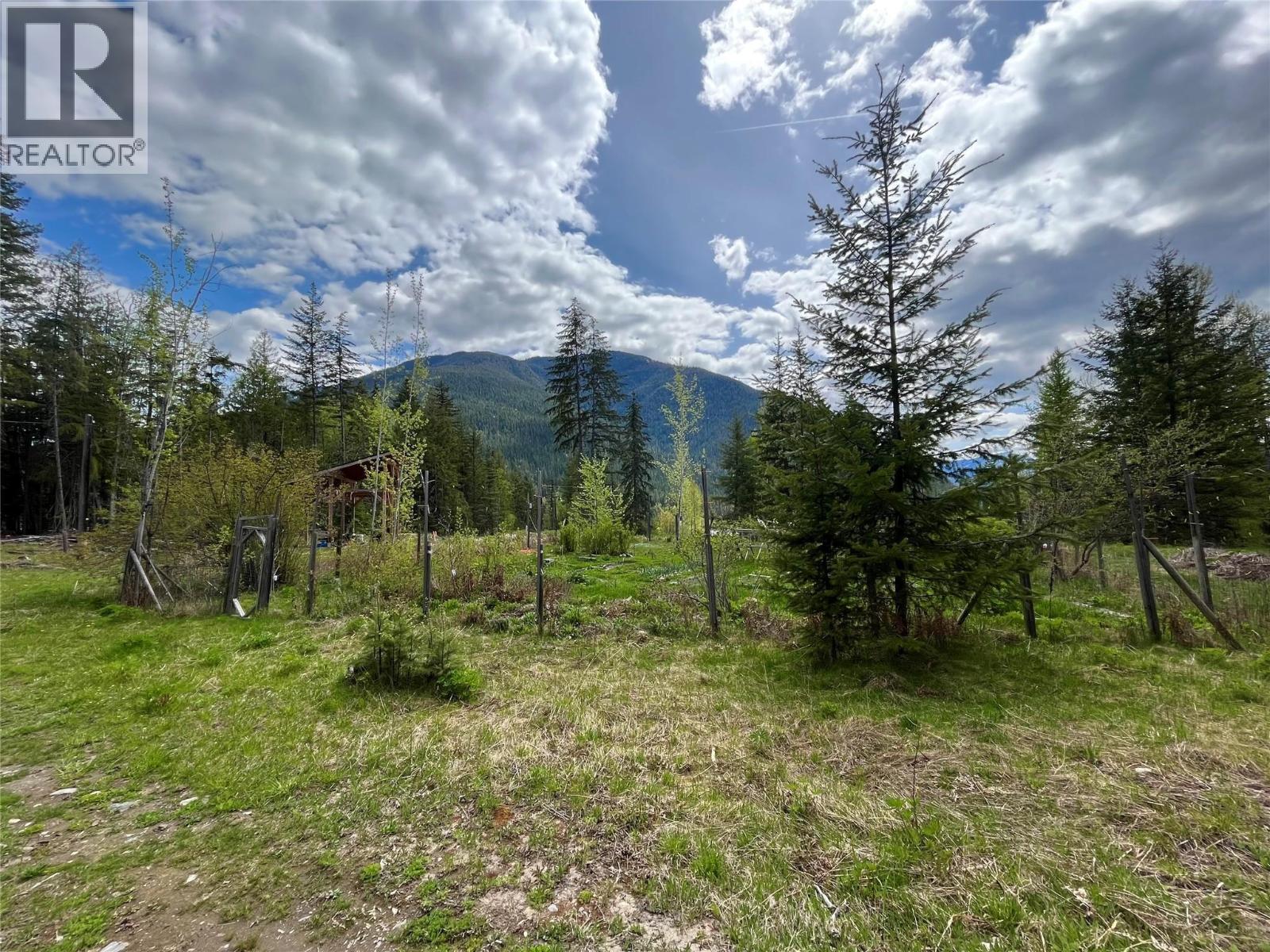 864 Bartley Road, Nakusp, British Columbia  V0G 1R1 - Photo 19 - 10401580