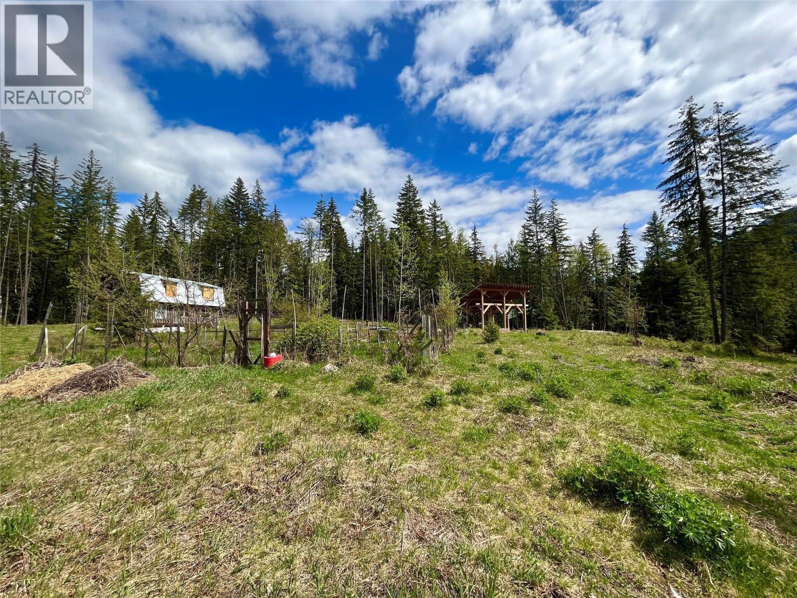 864 Bartley Road, Nakusp, British Columbia  V0G 1R1 - Photo 20 - 10401580